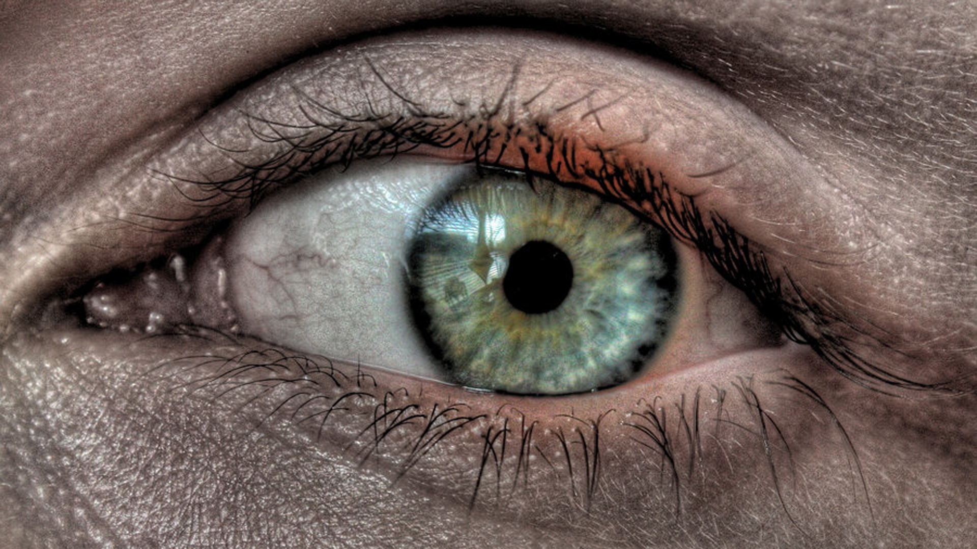 hdr_eye-1920x1080.jpg