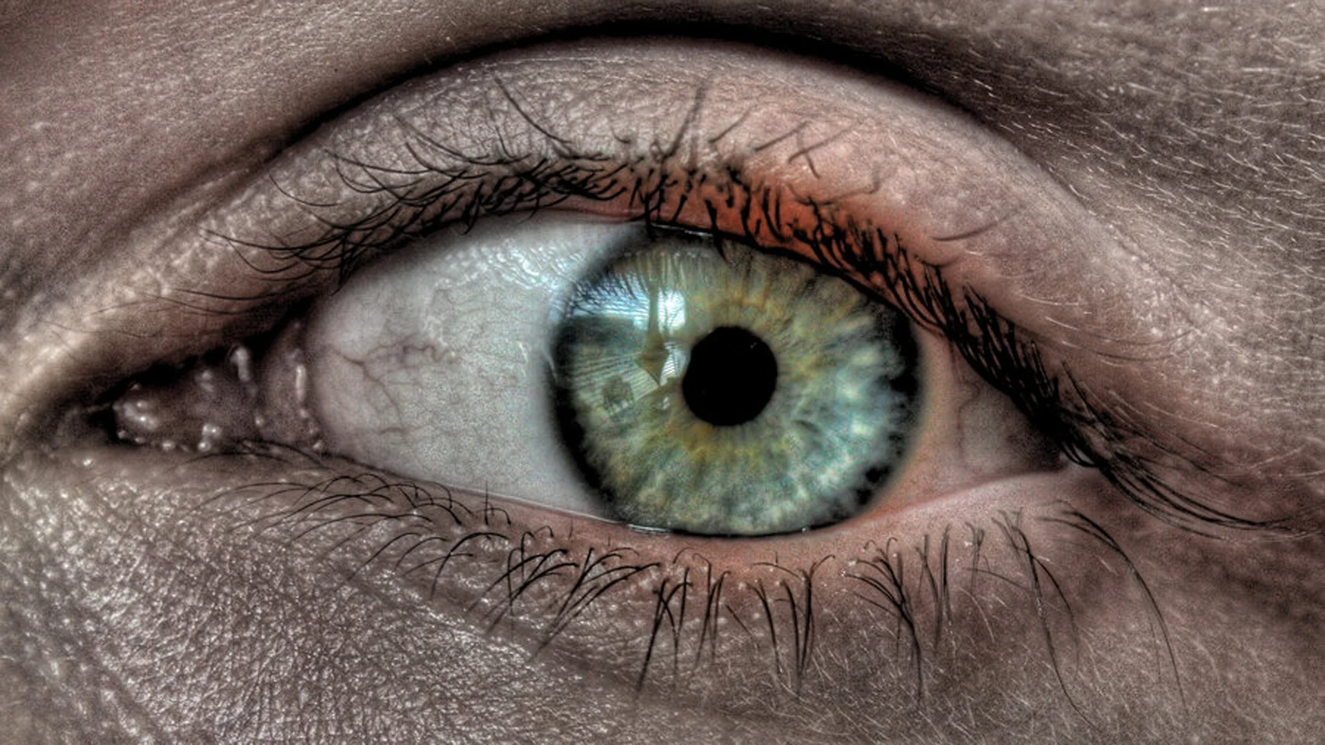 hdr_eye-1920x1080.jpg