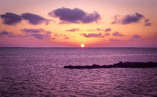 Florida Sunset