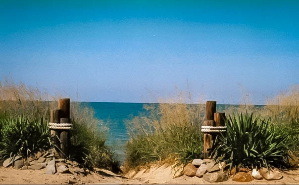 Lake Ontario in Michigan