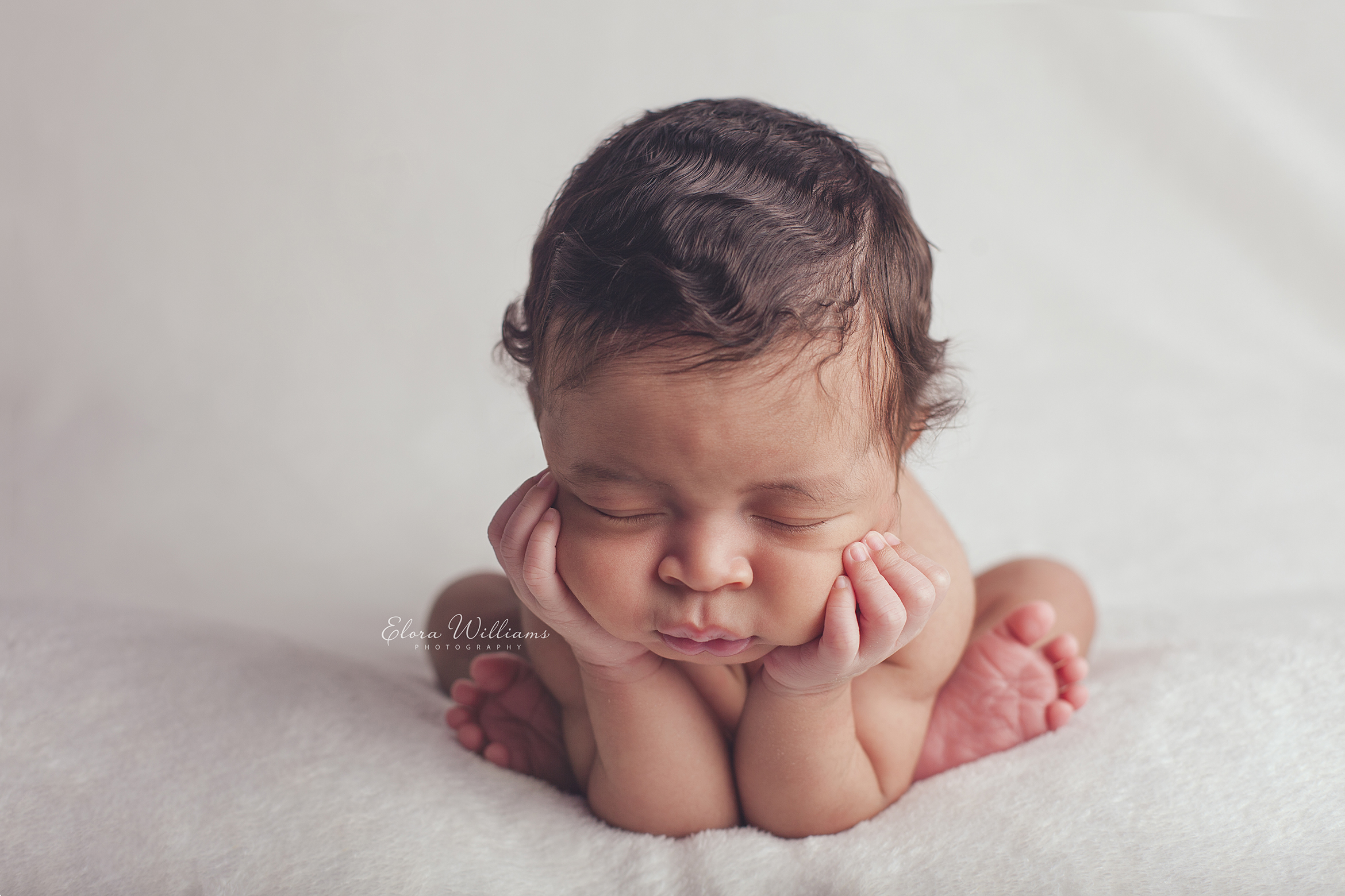 Newborn Photography  |  Elora Williams Photography