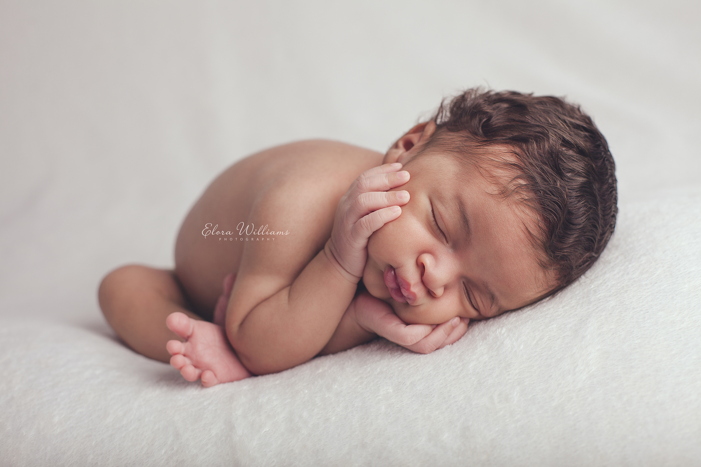 Newborn Photography  |  Elora Williams Photography