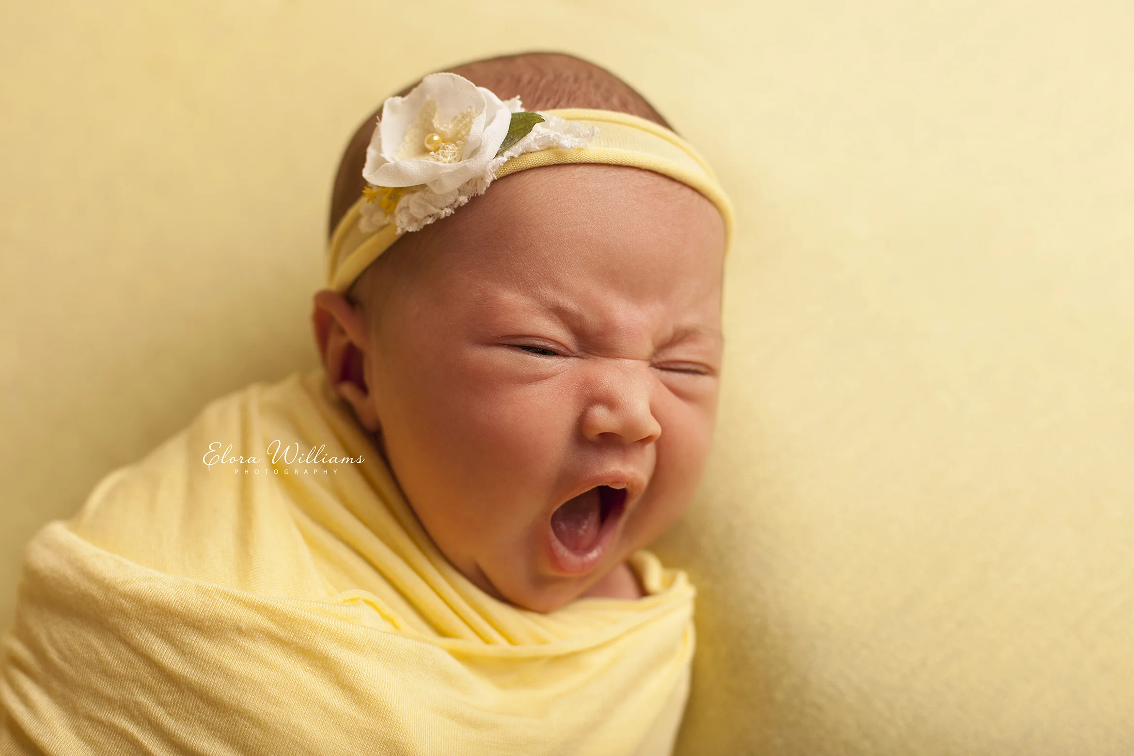 Newborn Photographer | Elora Williams Photography
