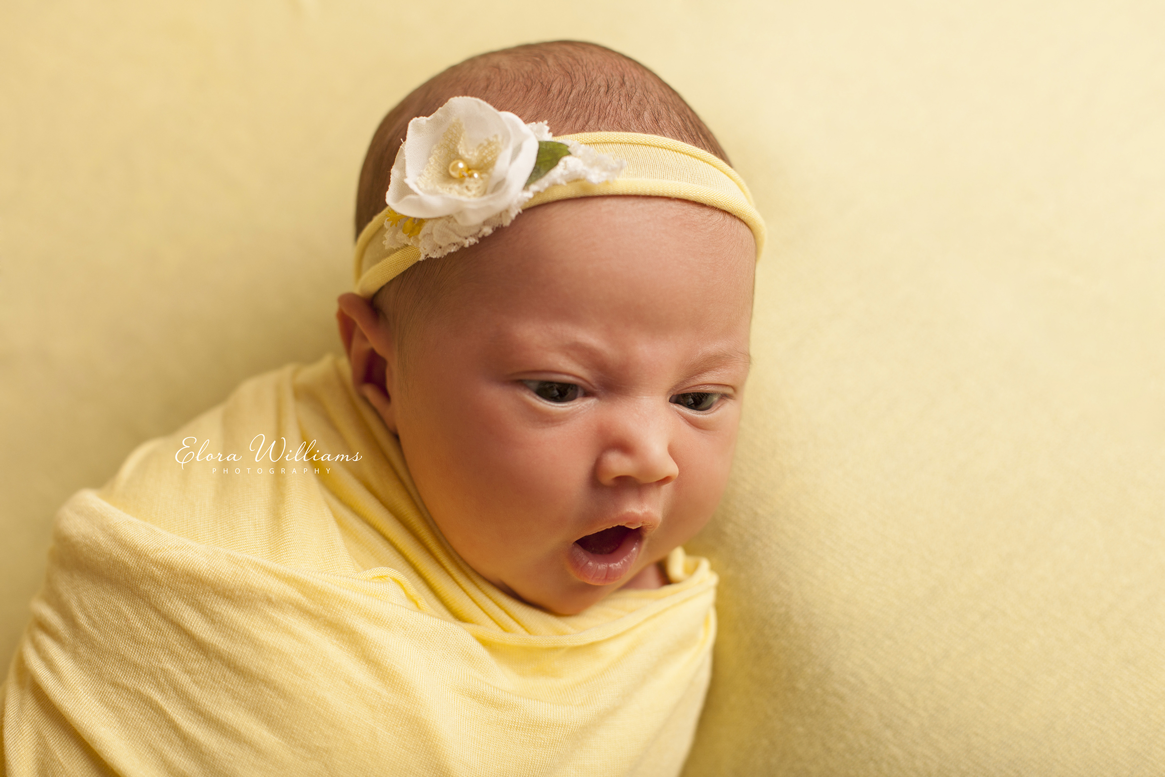 Newborn Photographer  |  Elora Williams Photography