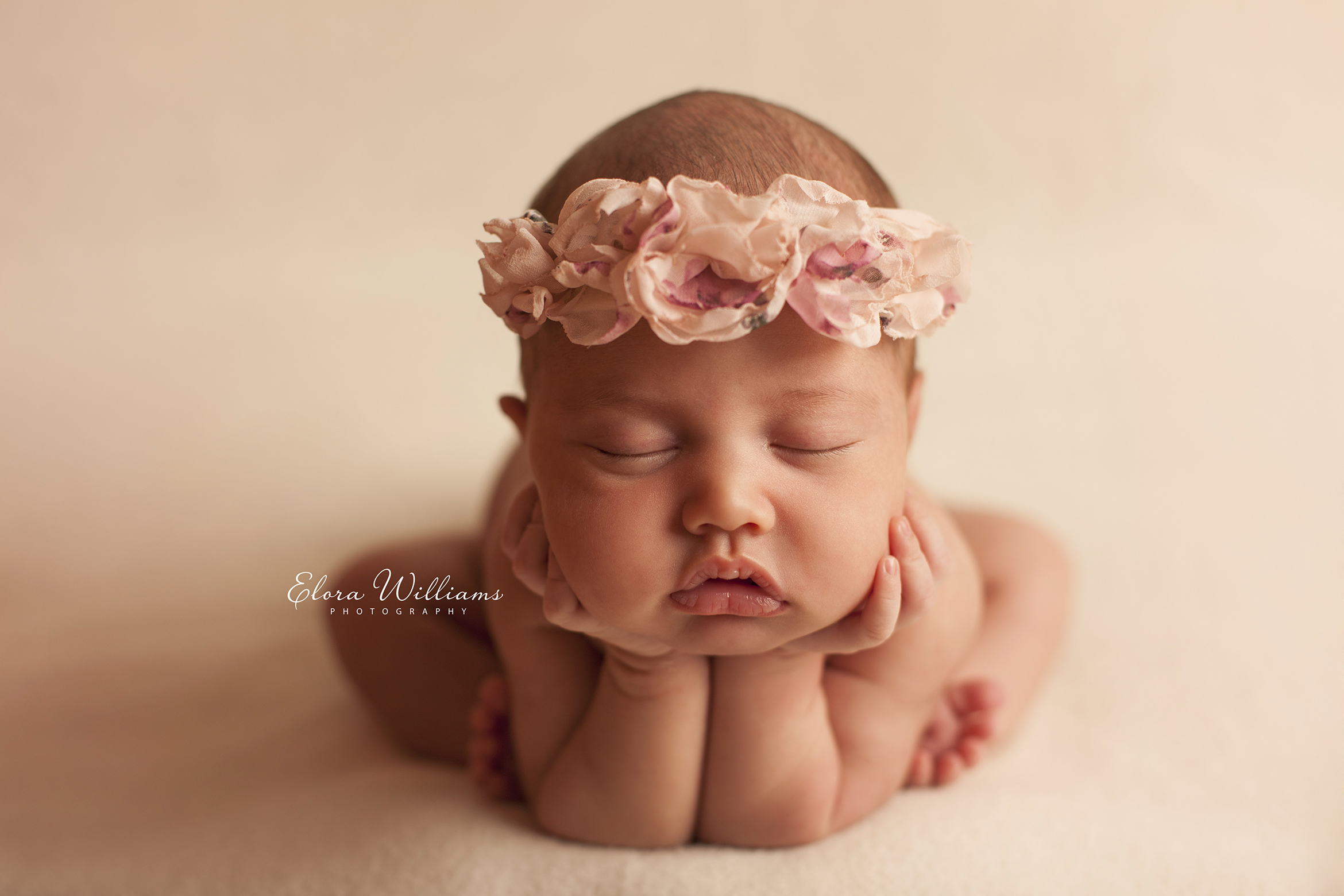 Newborn Photographer  |  Elora Williams Photography