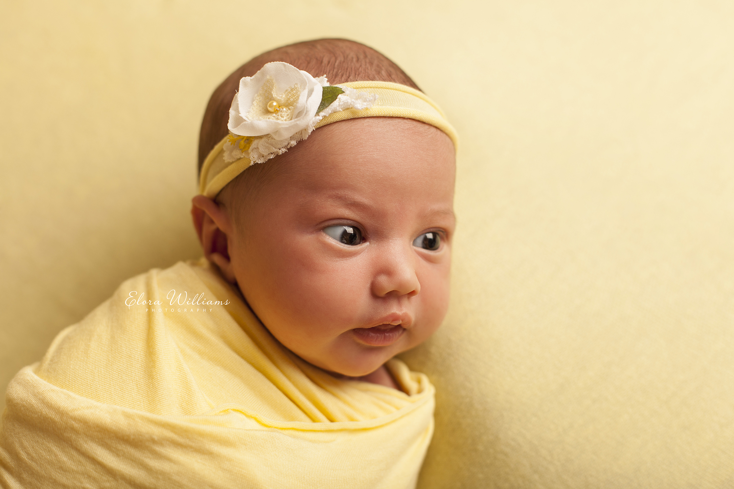 Newborn Photographer  |  Elora Williams Photography