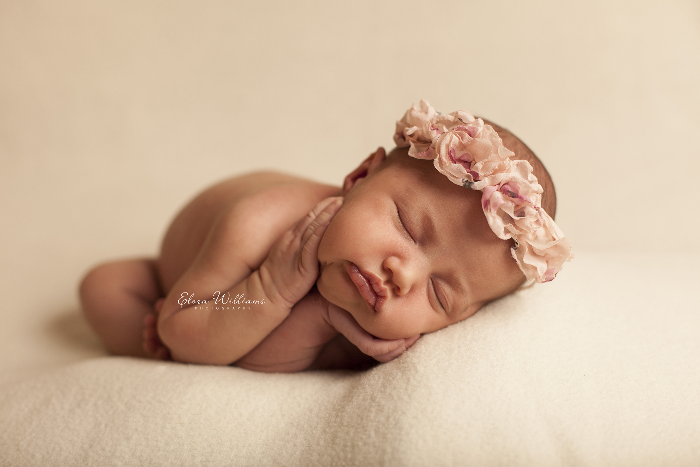 Newborn Photographer  |  Elora Williams Photography