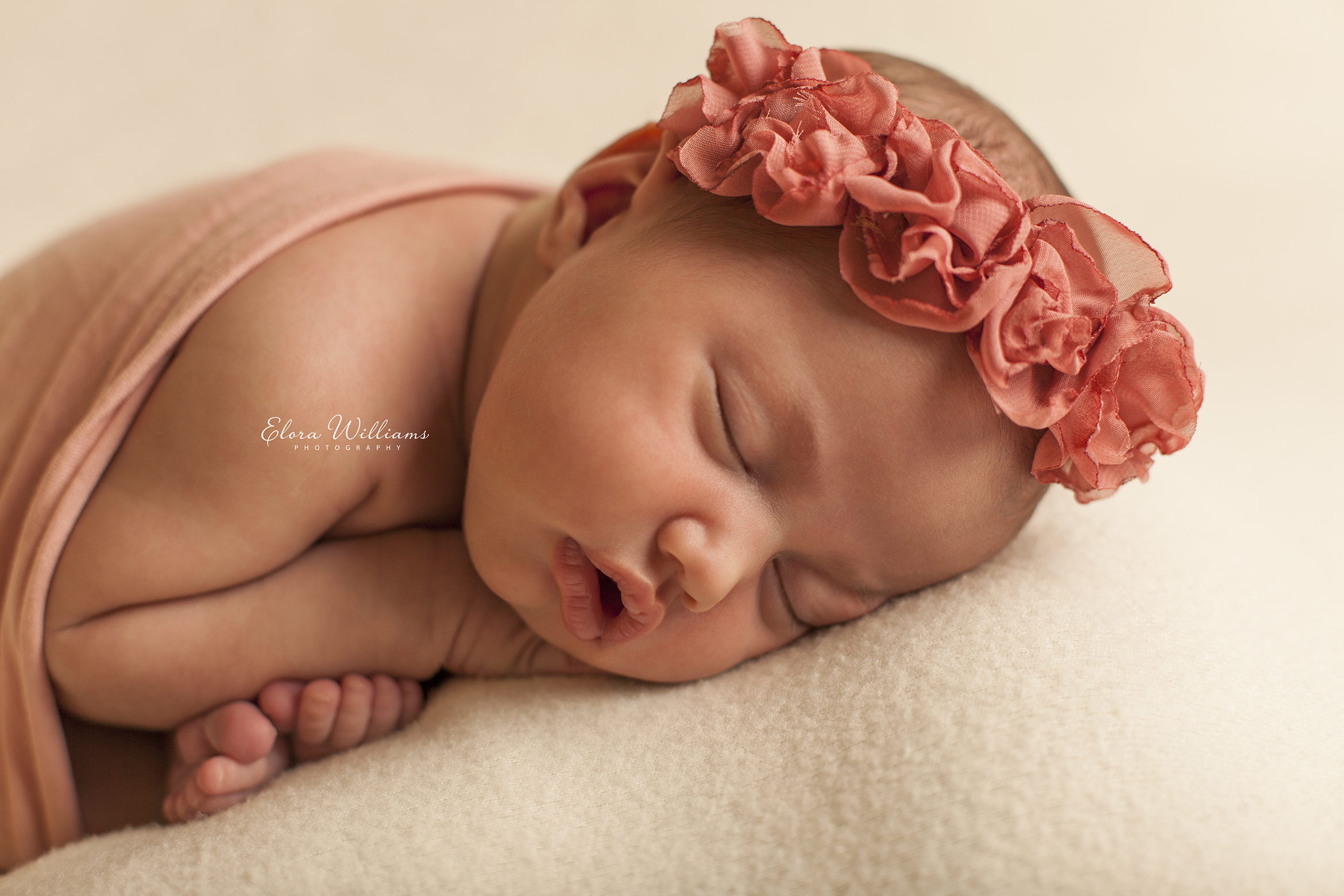 Newborn Photographer  |  Elora Williams Photography