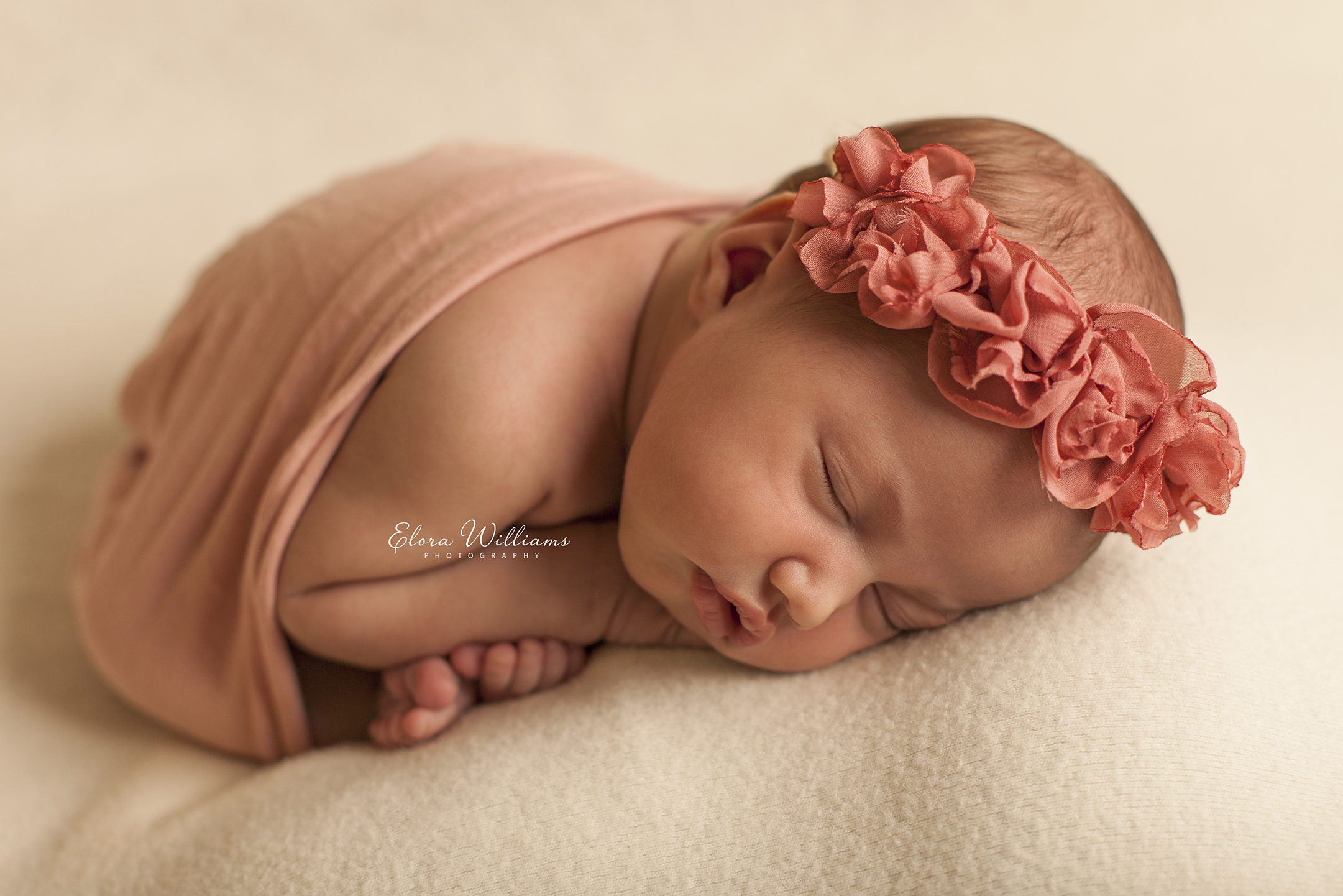 Newborn Photographer  |  Elora Williams Photography