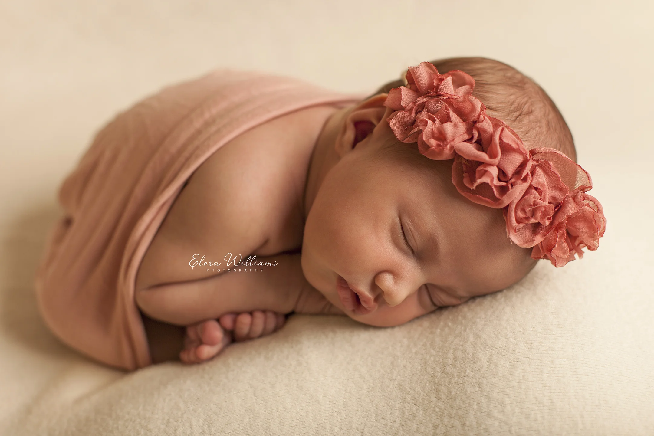 Newborn Photographer | Elora Williams Photography