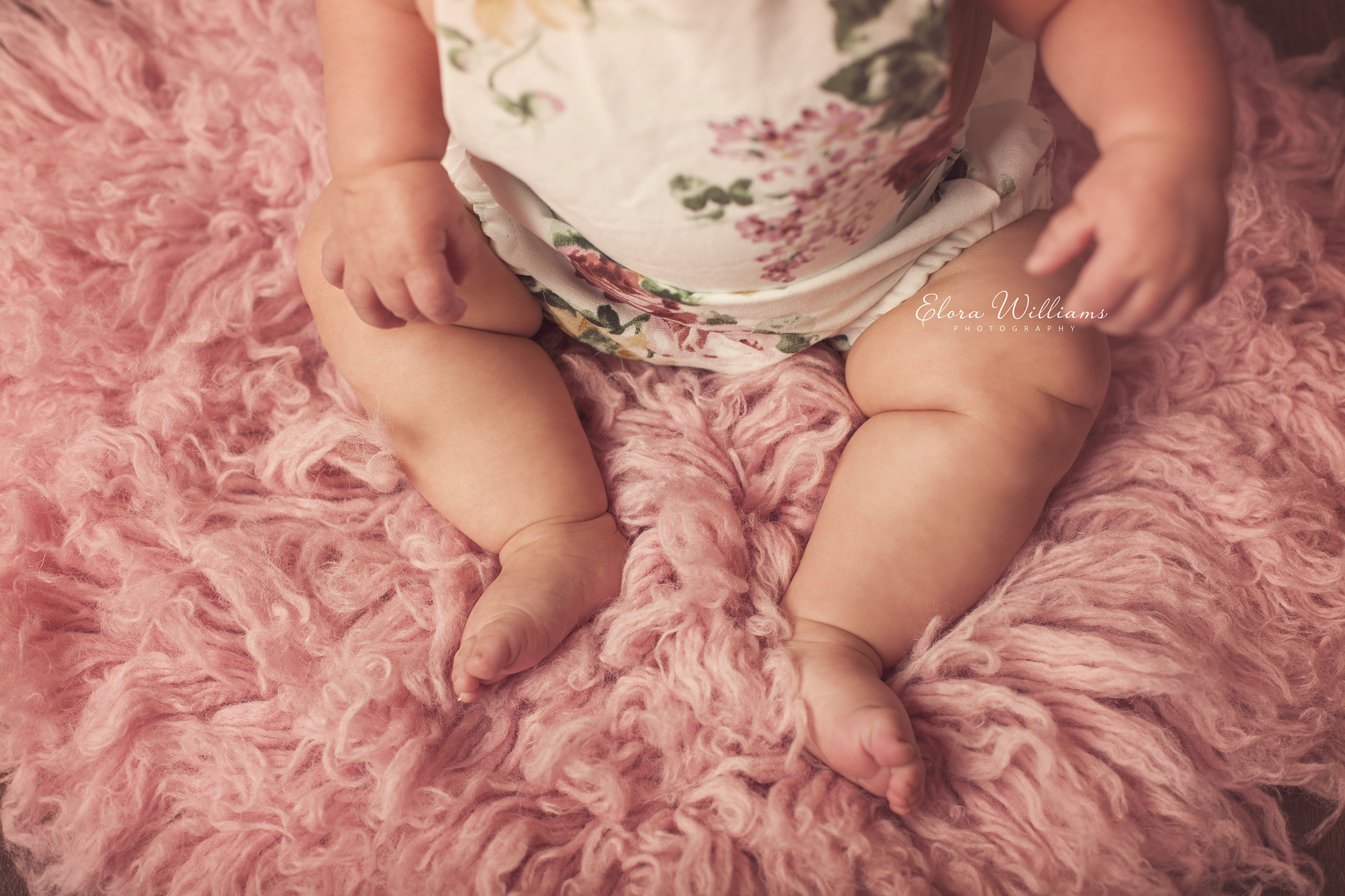 Milestone Session | Elora Williams Photography