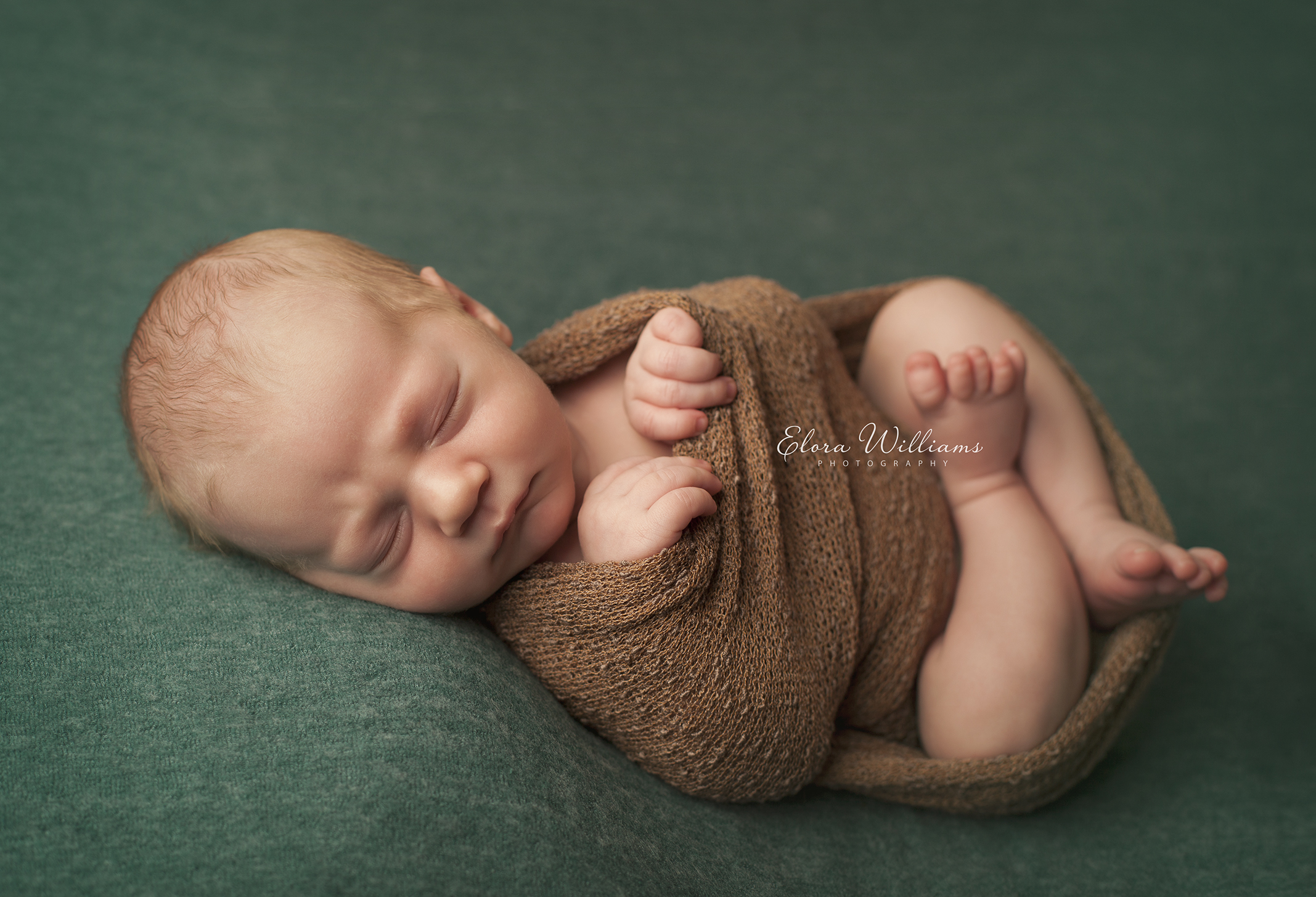 Newborn Photography  |  Elora Williams Photography