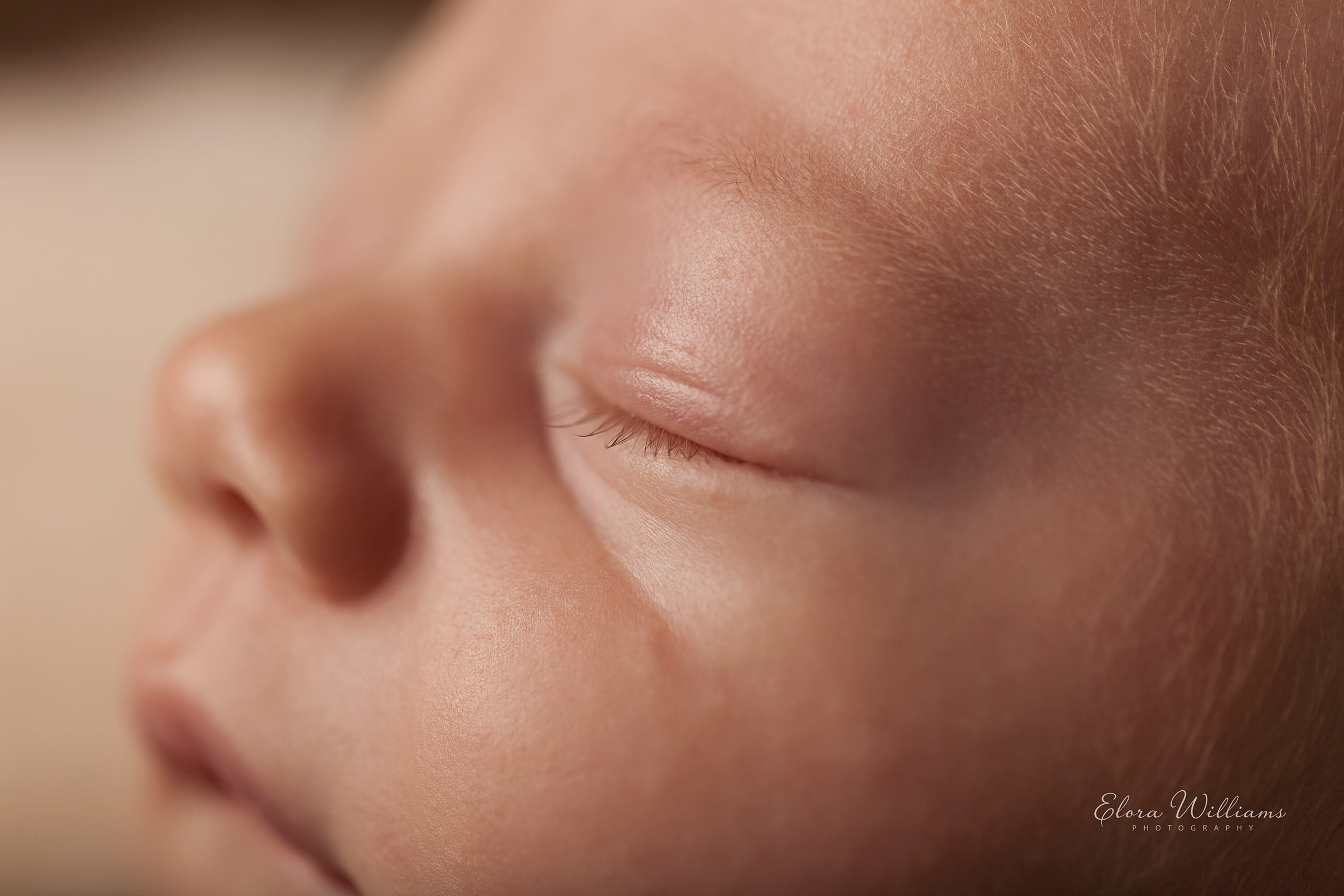 Newborn Photography | Elora Williams Photography