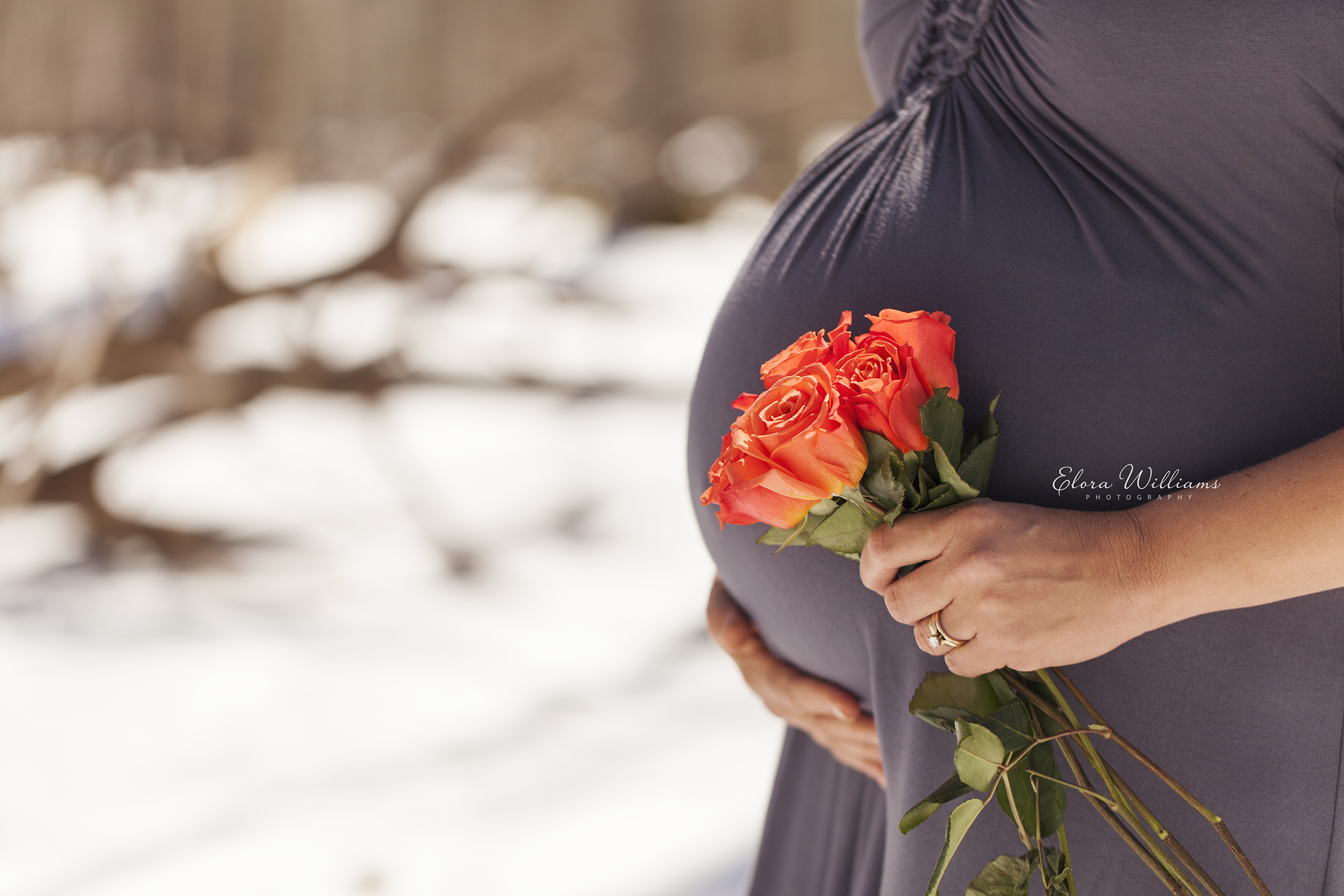 Maternity Photography  |  Elora Williams Photography