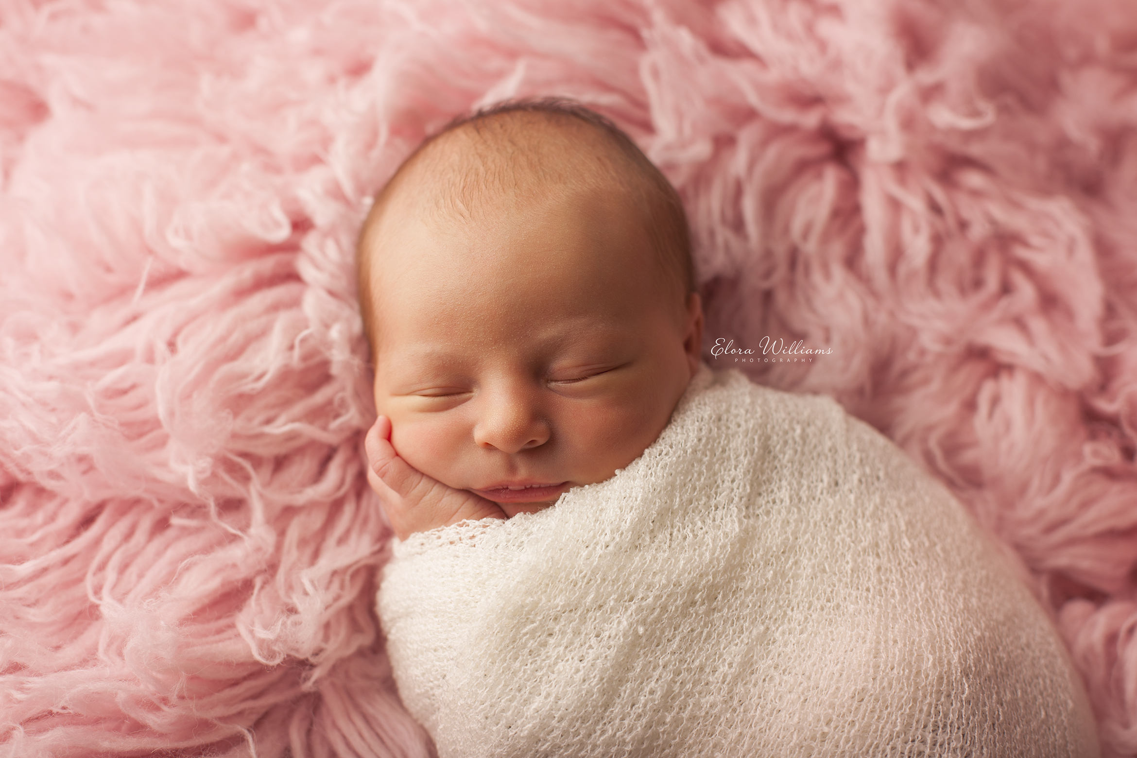 Elora Williams Photography Newborn Session