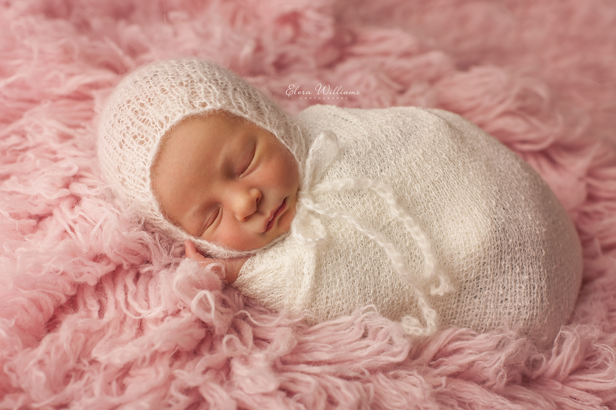 Elora Williams Photography Newborn Session