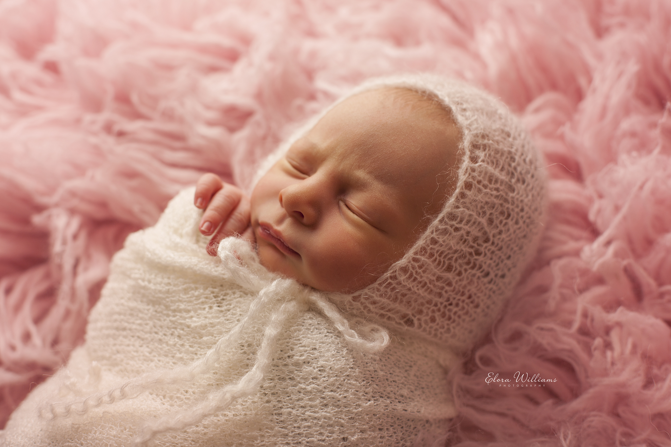 Elora Williams Photography Newborn Session