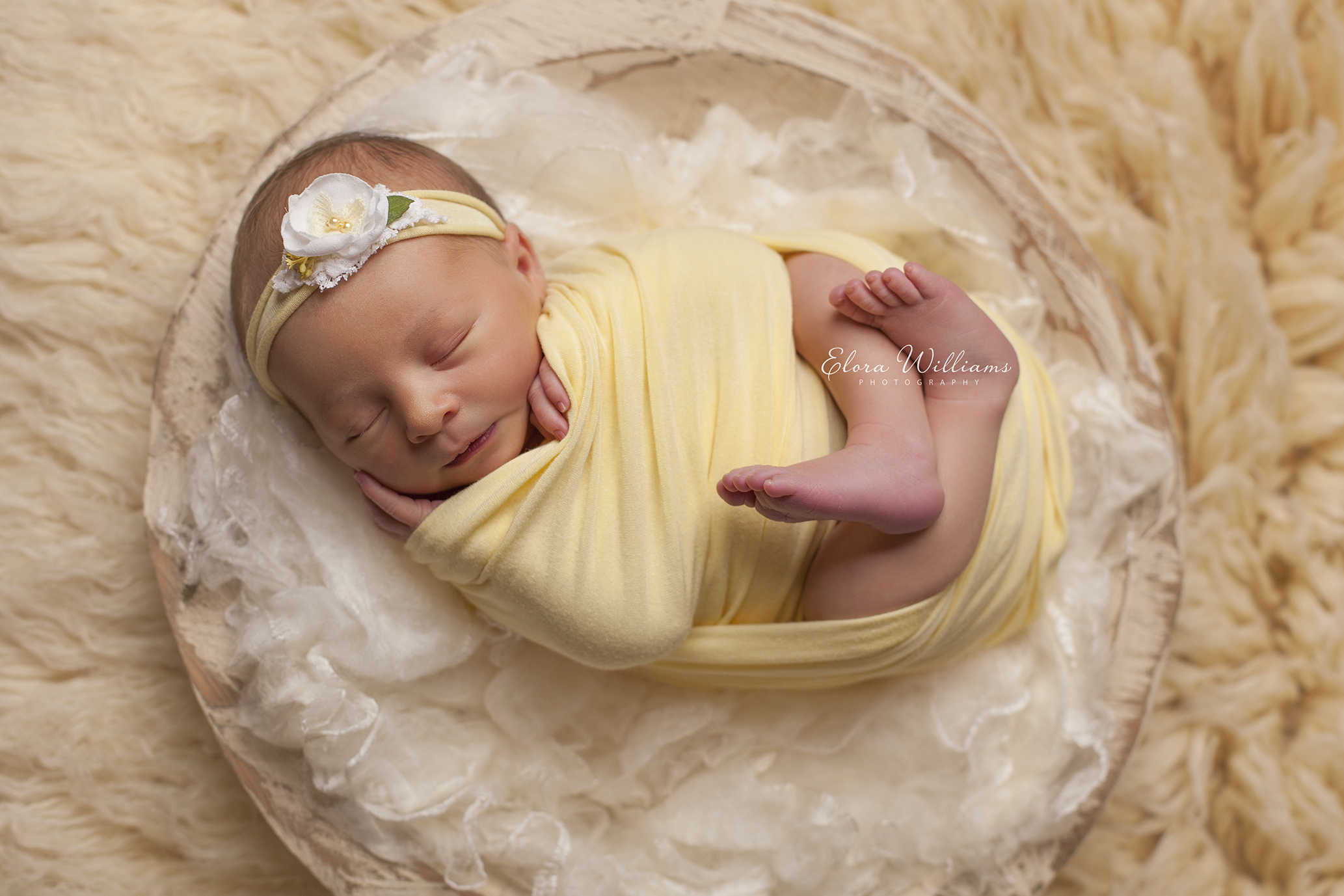 Elora Williams Photography Newborn Session