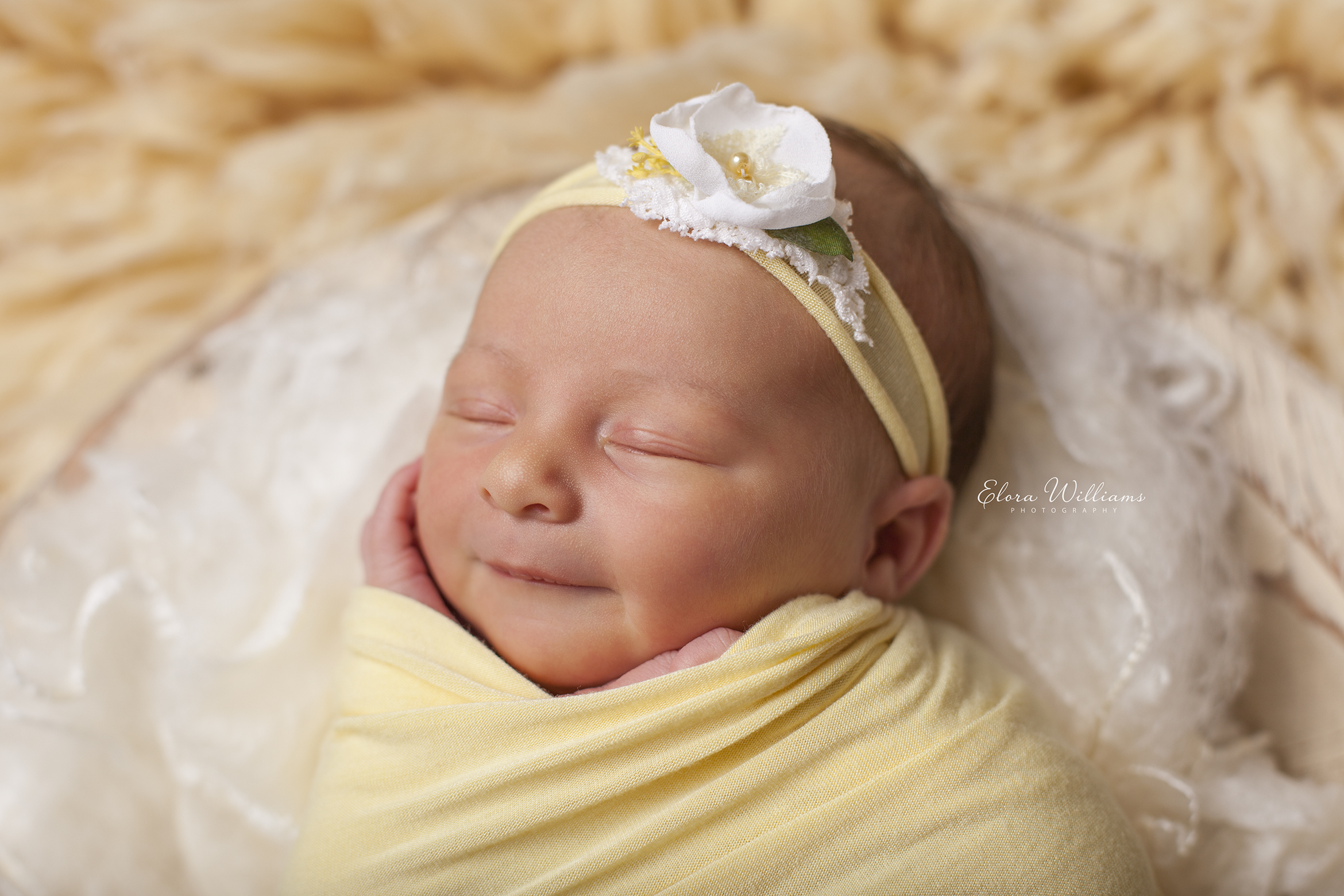 Elora Williams Photography Newborn Session