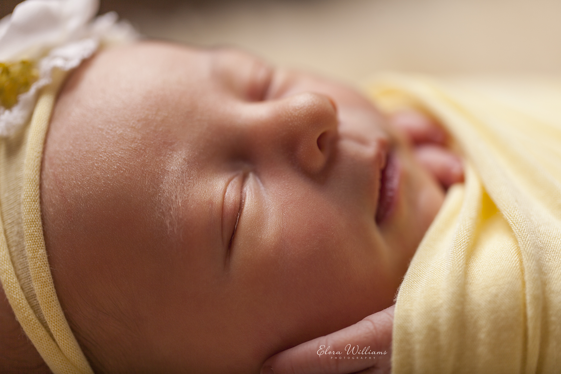 Elora Williams Photography Newborn Session