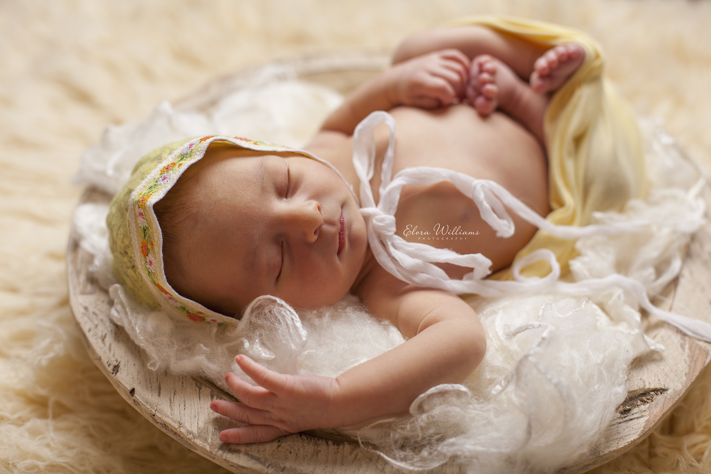 Elora Williams Photography Newborn Session