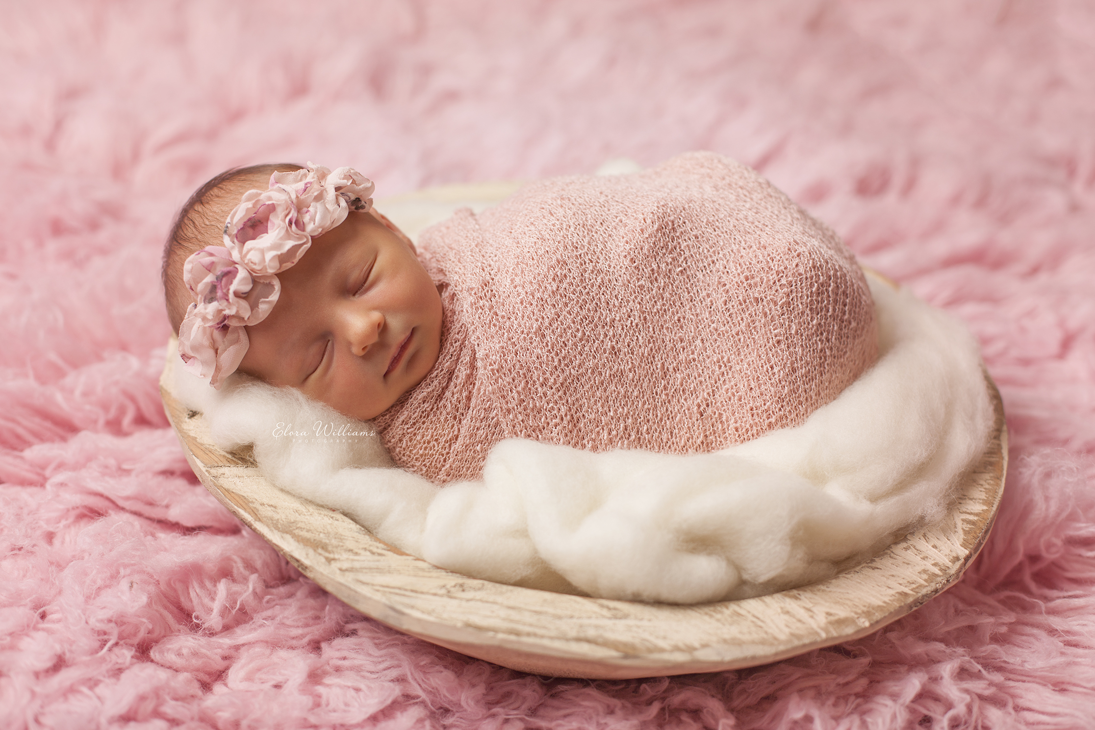 Elora Williams Photography Newborn Session