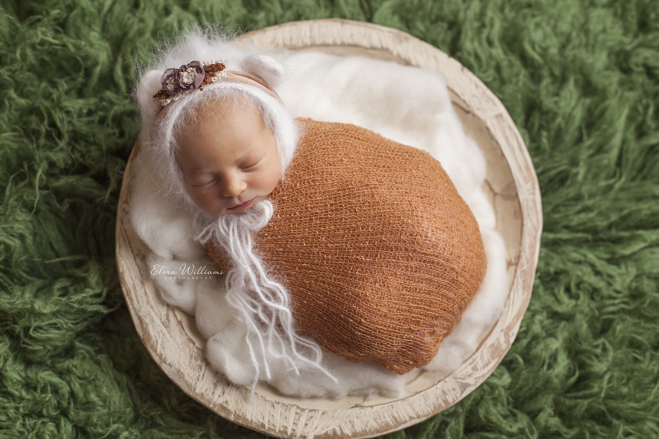 Elora Williams Photography Newborn Session