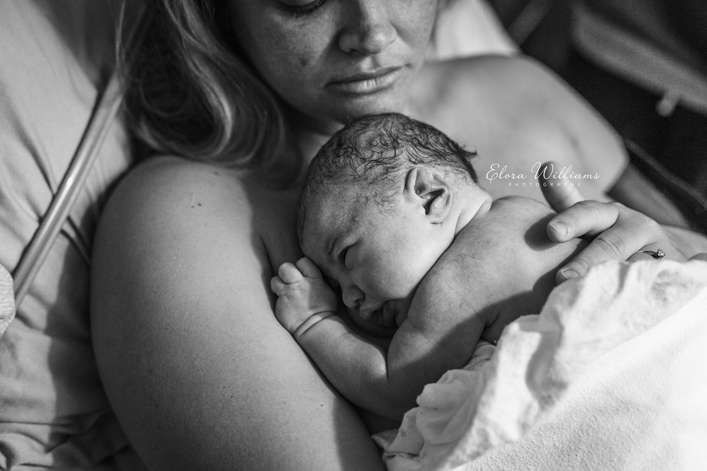 Birth Photography  |  Elora Williams Photography