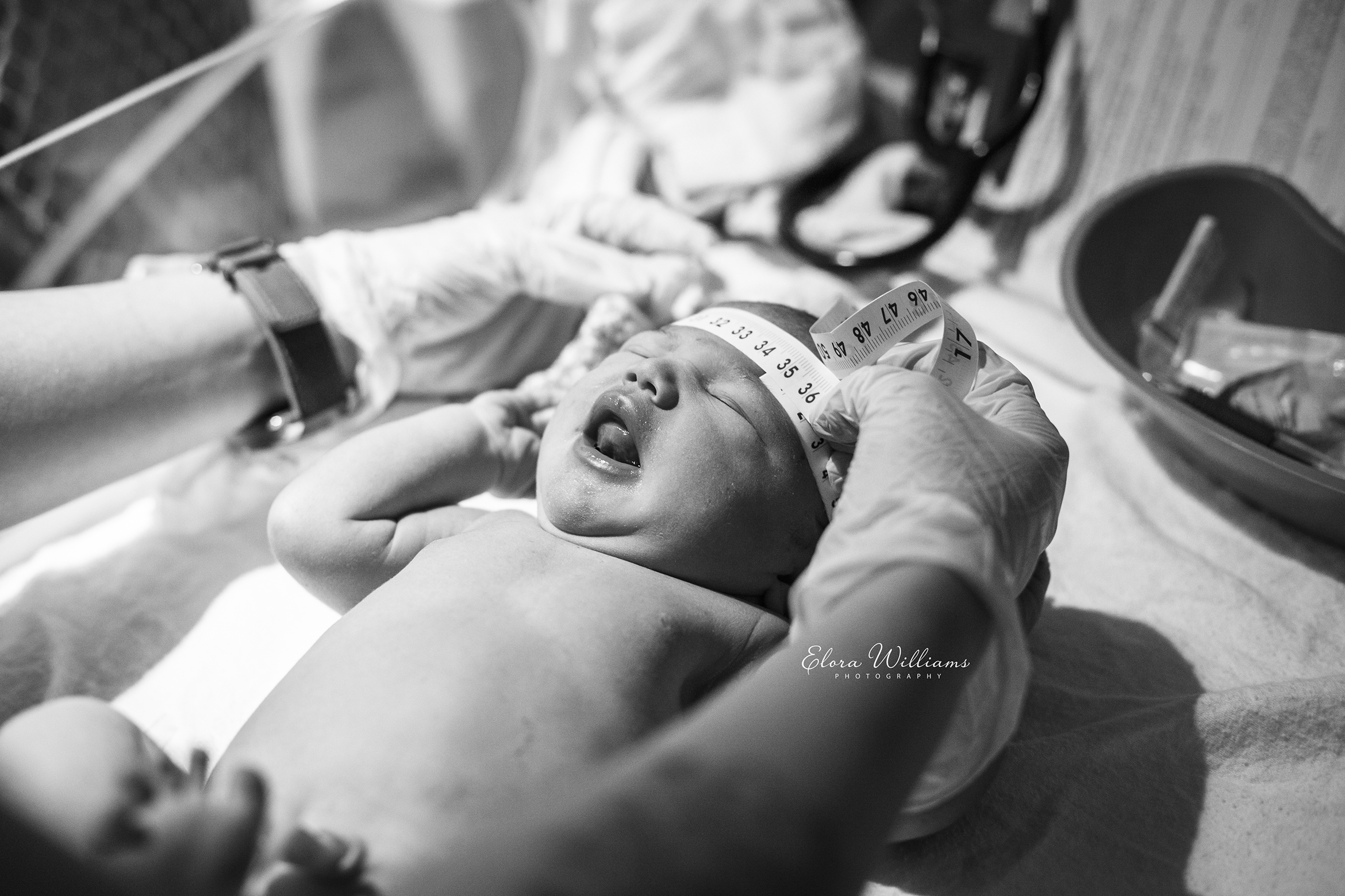 Birth Photography  |  Elora Williams Photography