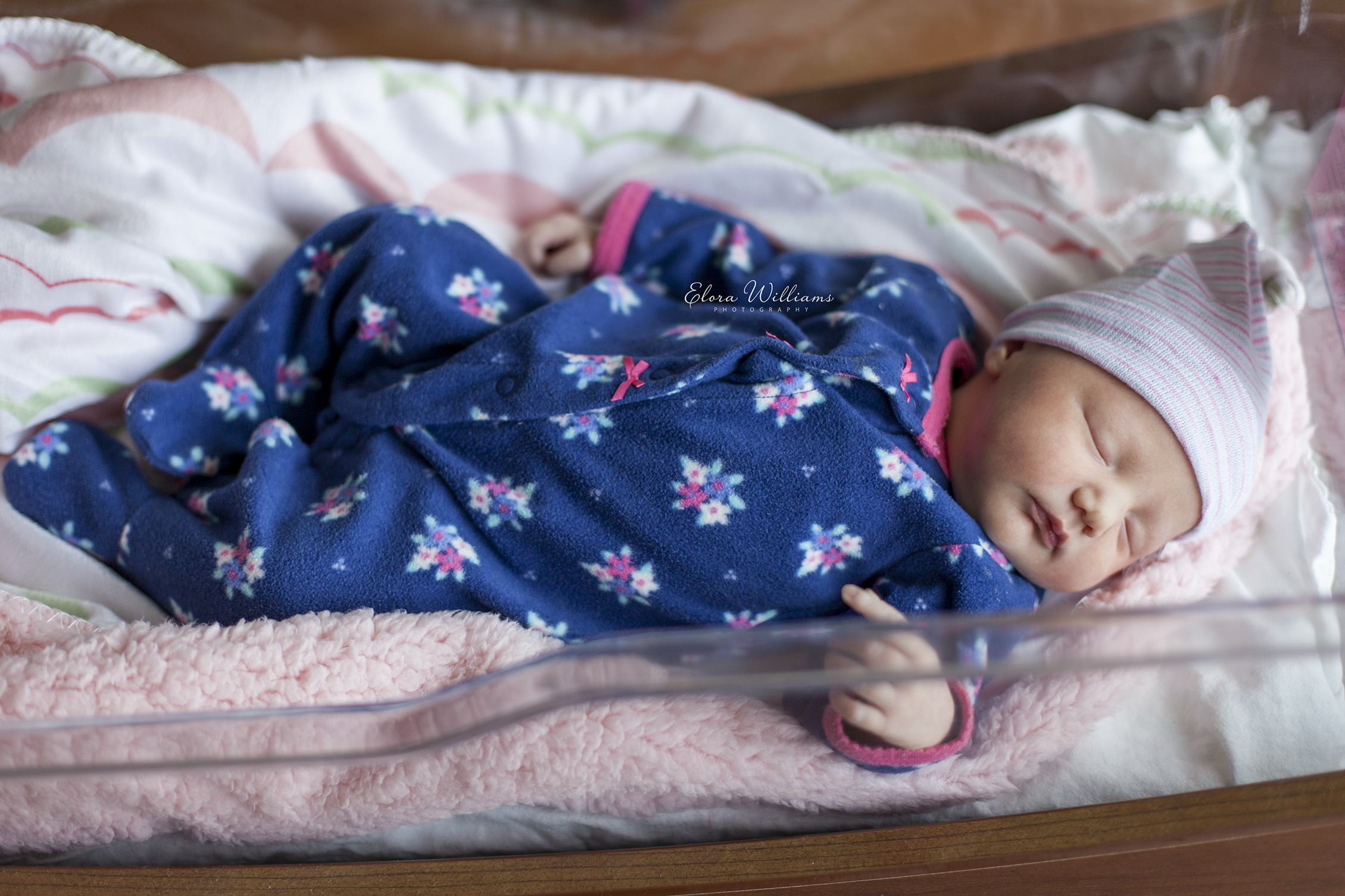Fresh 48 | St Catharines, Elora Williams Photography