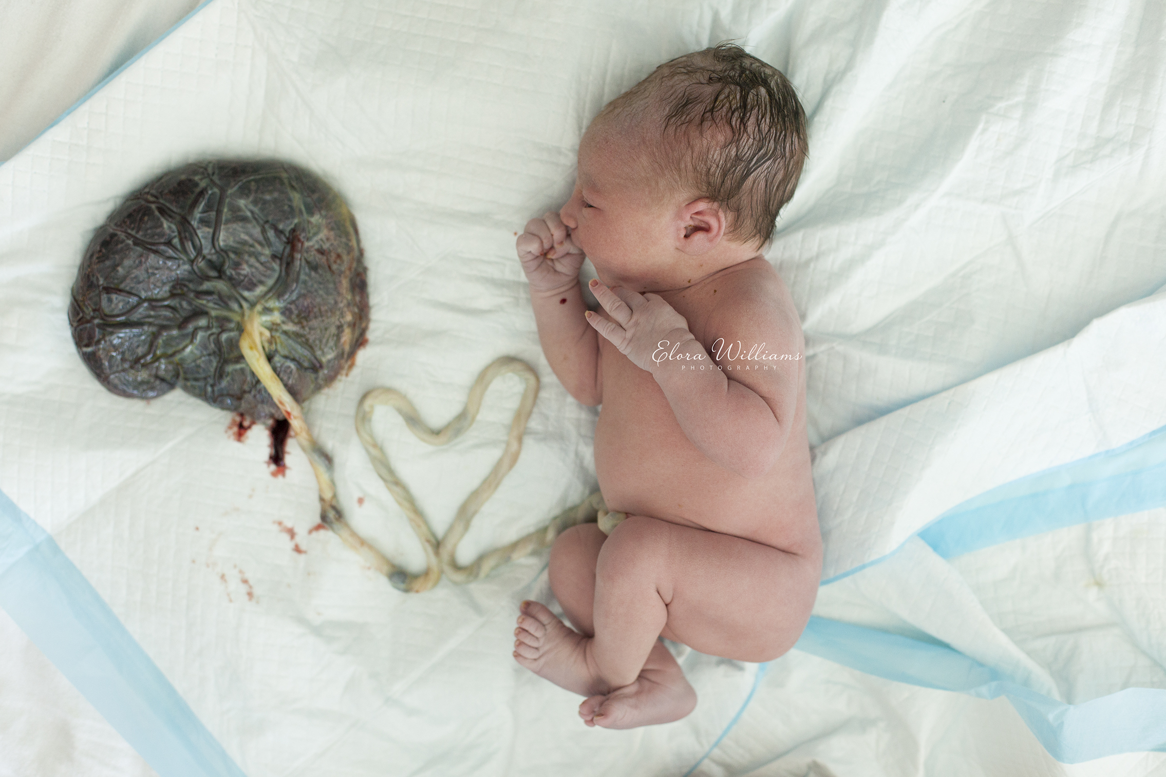 Birth photography  |  Elora Williams Photography