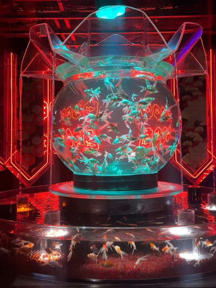 Yesterday was bonkers. In the best way possible. To celebrate @marleycarroll and his birthday we had what we&rsquo;ve now deemed Fish Day. 🐟🍣🎏

We discovered a large scale, immersive art installation located in a high end department store called A