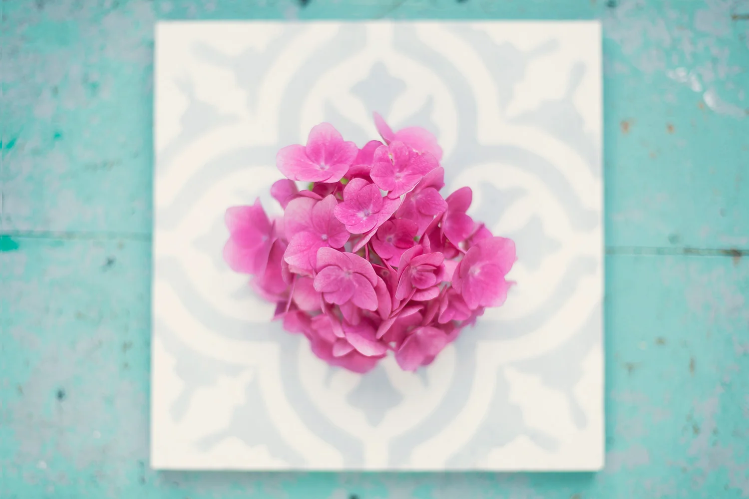 Blommor i pastell