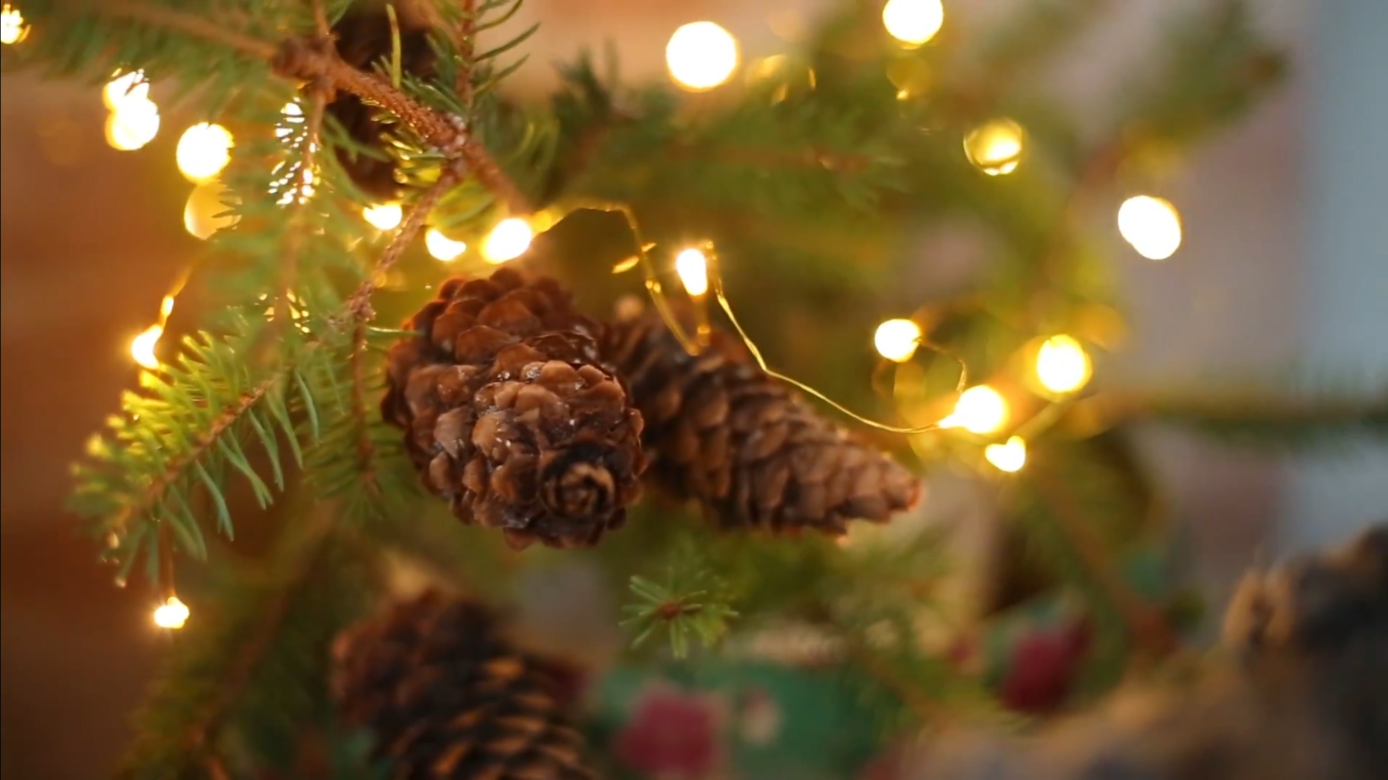 Hot chocolate with marshmallows