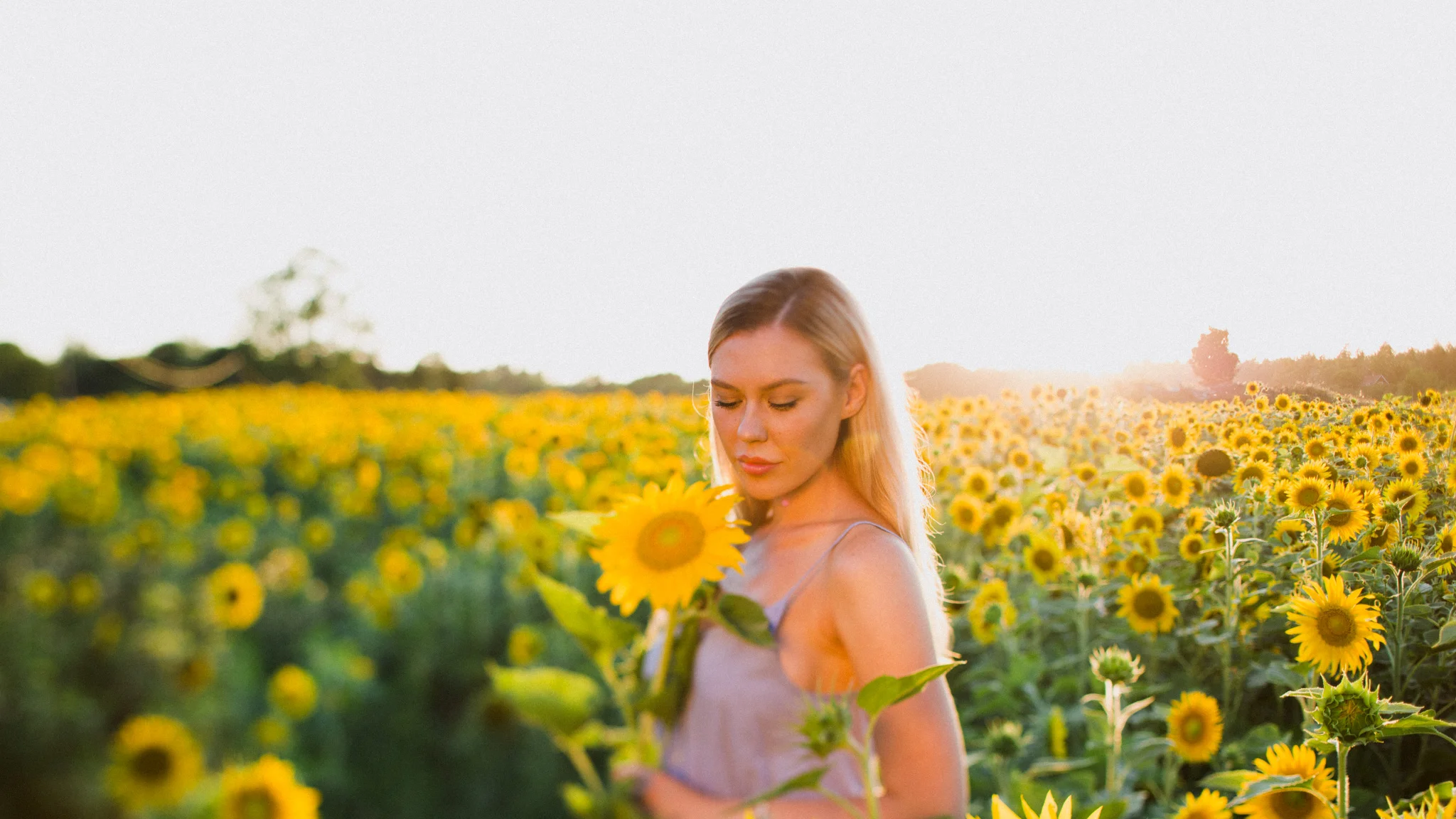My_Sunflowers_web_color-1036.jpg