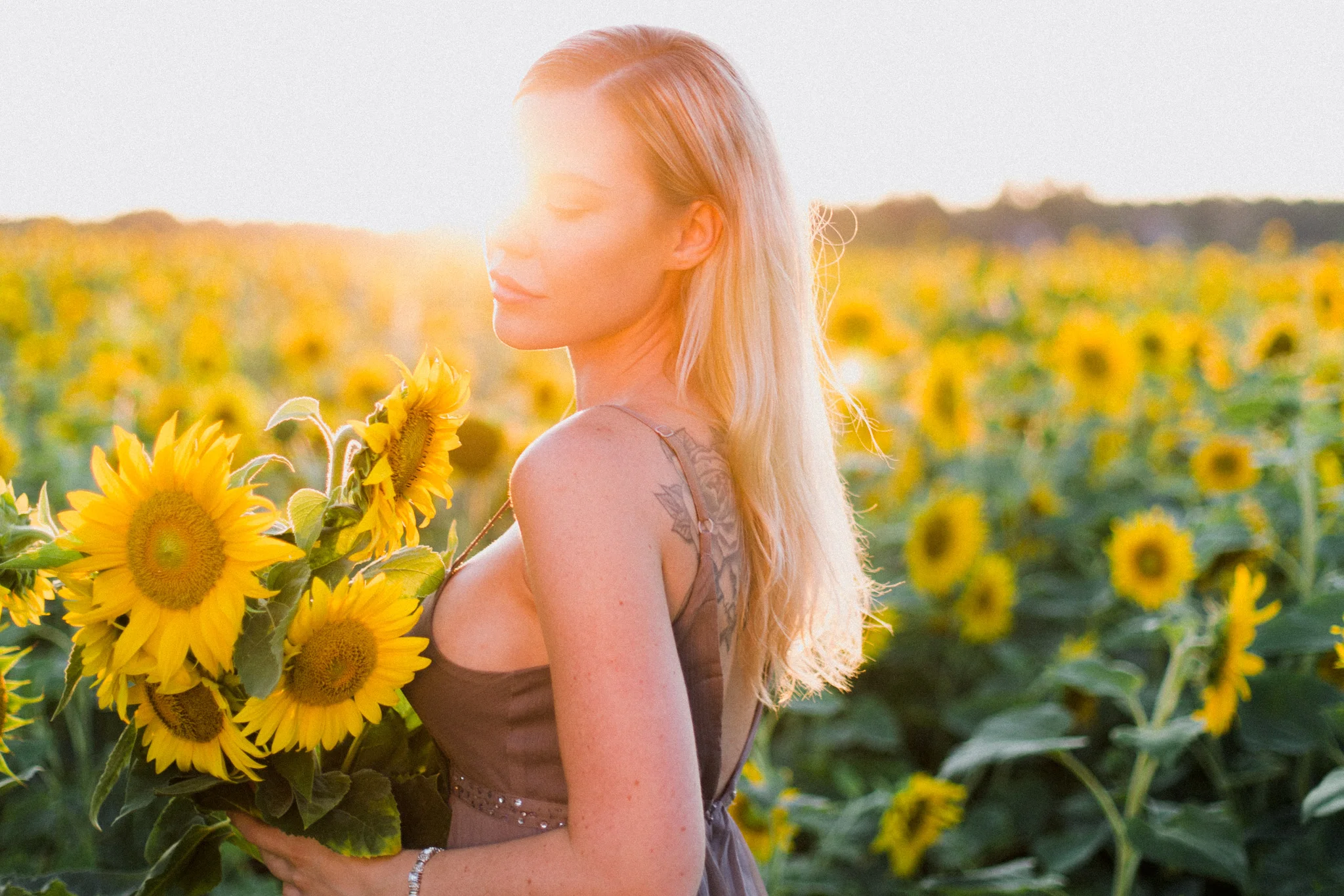 My_Sunflowers_web_color-1071.jpg