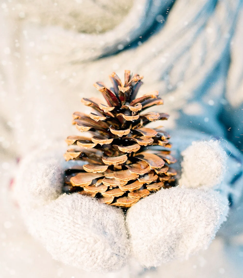 It's the most wonderful time of the year