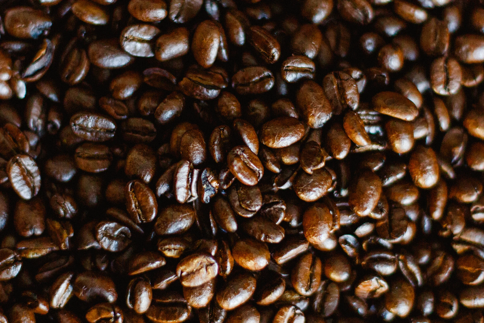 kaffe_josephine_foundation_web-1013.jpg