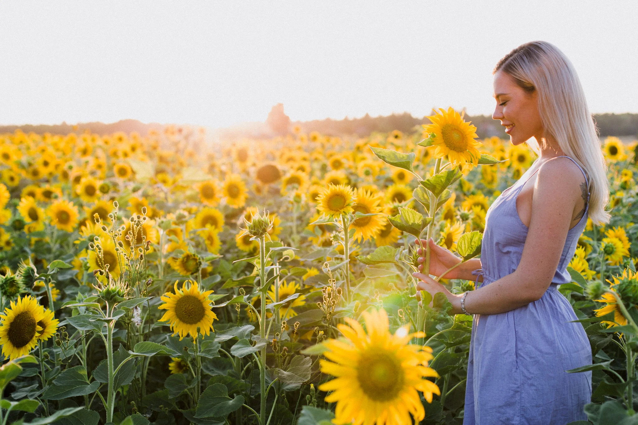 My_Sunflowers_web_color-1046.jpg