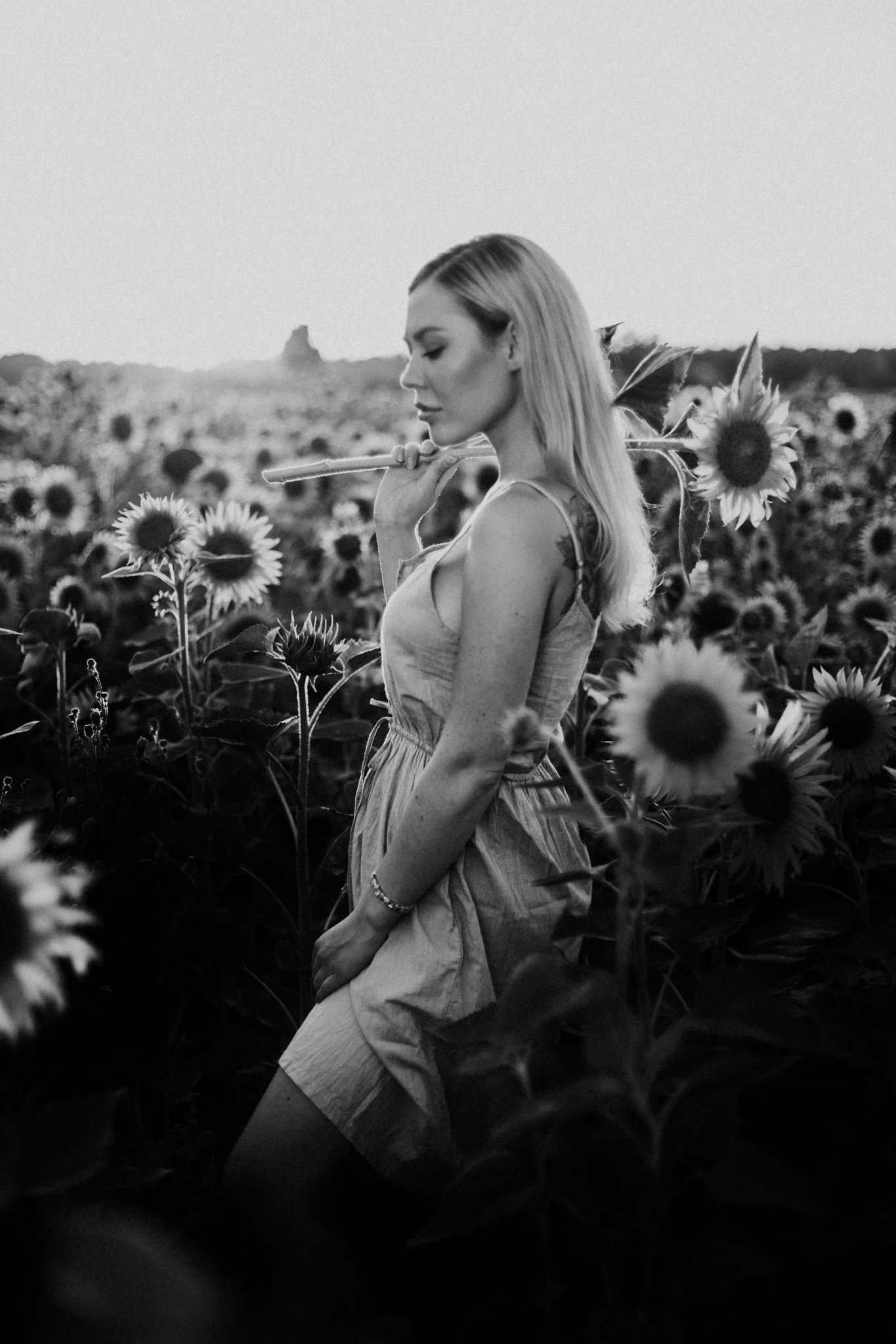 My_Sunflowers_web_bw-1051.jpg