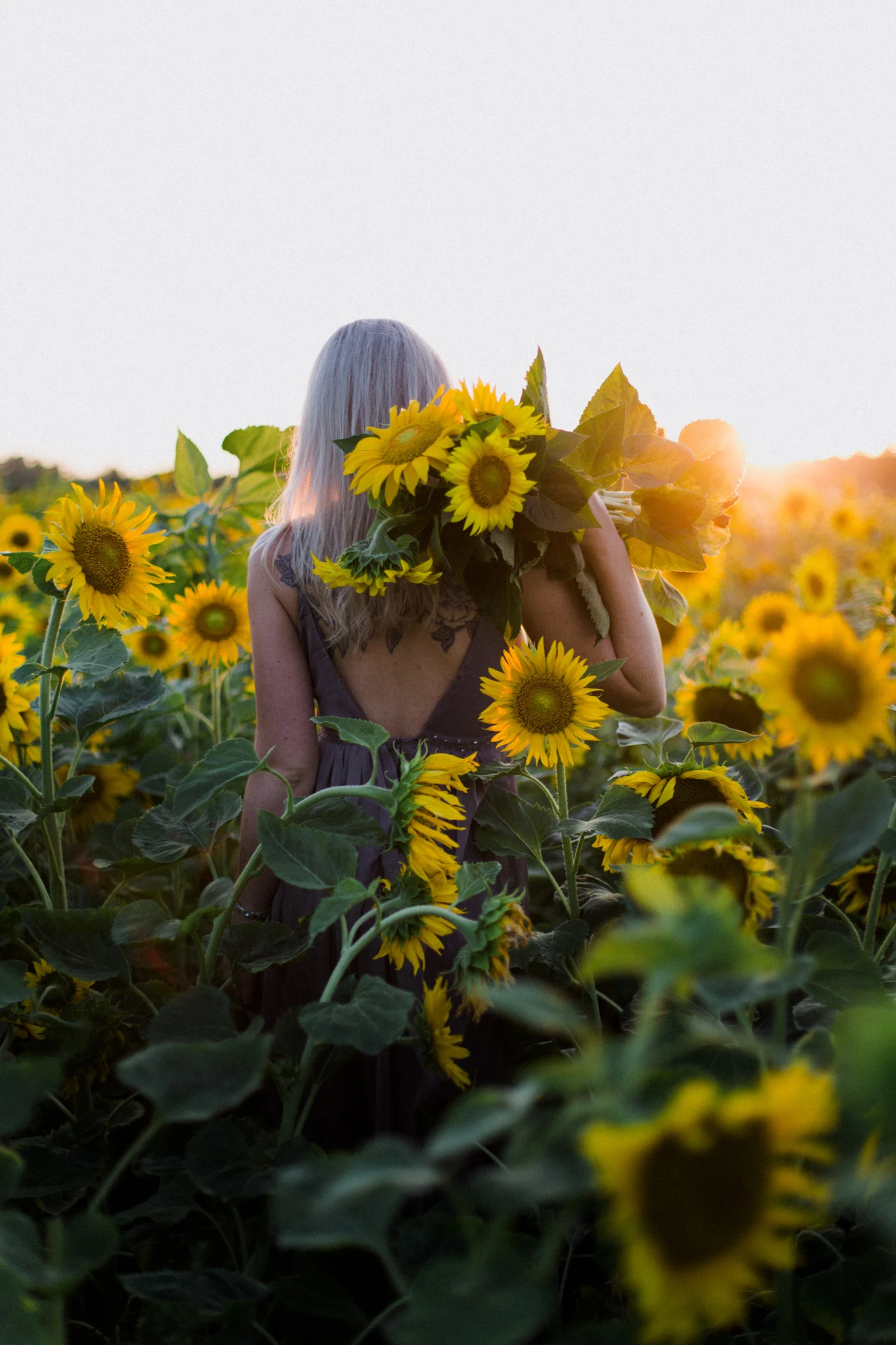My_Sunflowers_web_color-1080.jpg