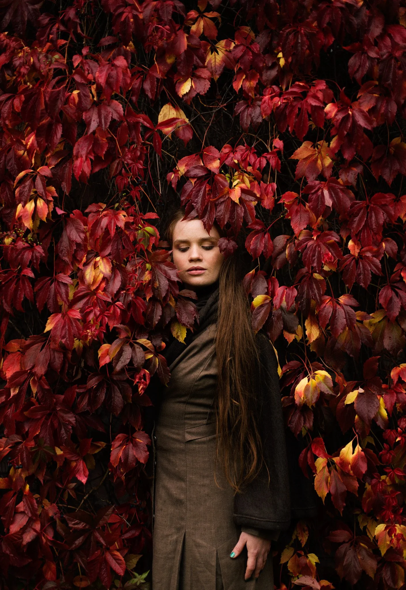 autumn_leaves-1011.jpg