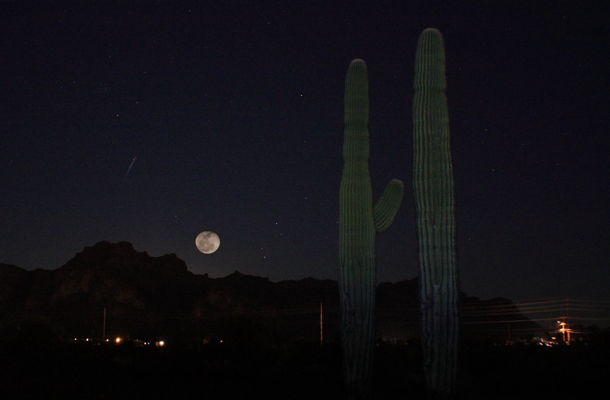 Moon:Superstitions:Saguaro composite.JPG