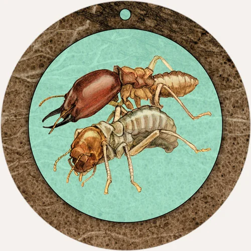 thumbnail-czo9.jpg