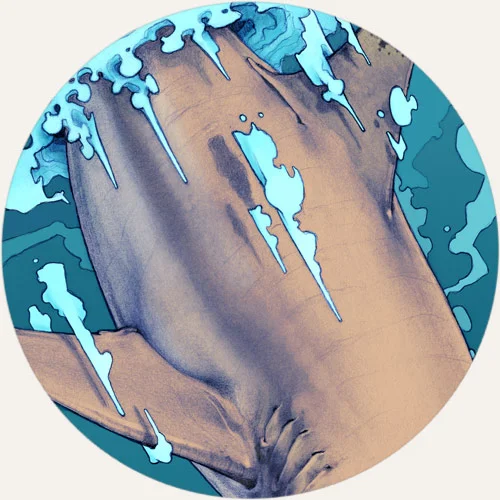 shark-thumb5.jpg