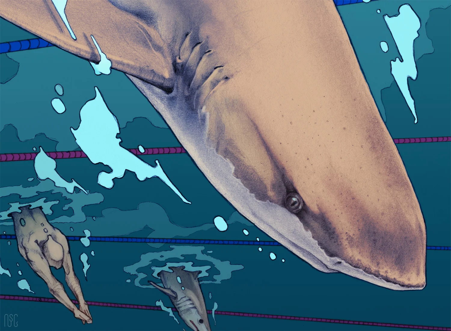 sharkracer_detail.jpg