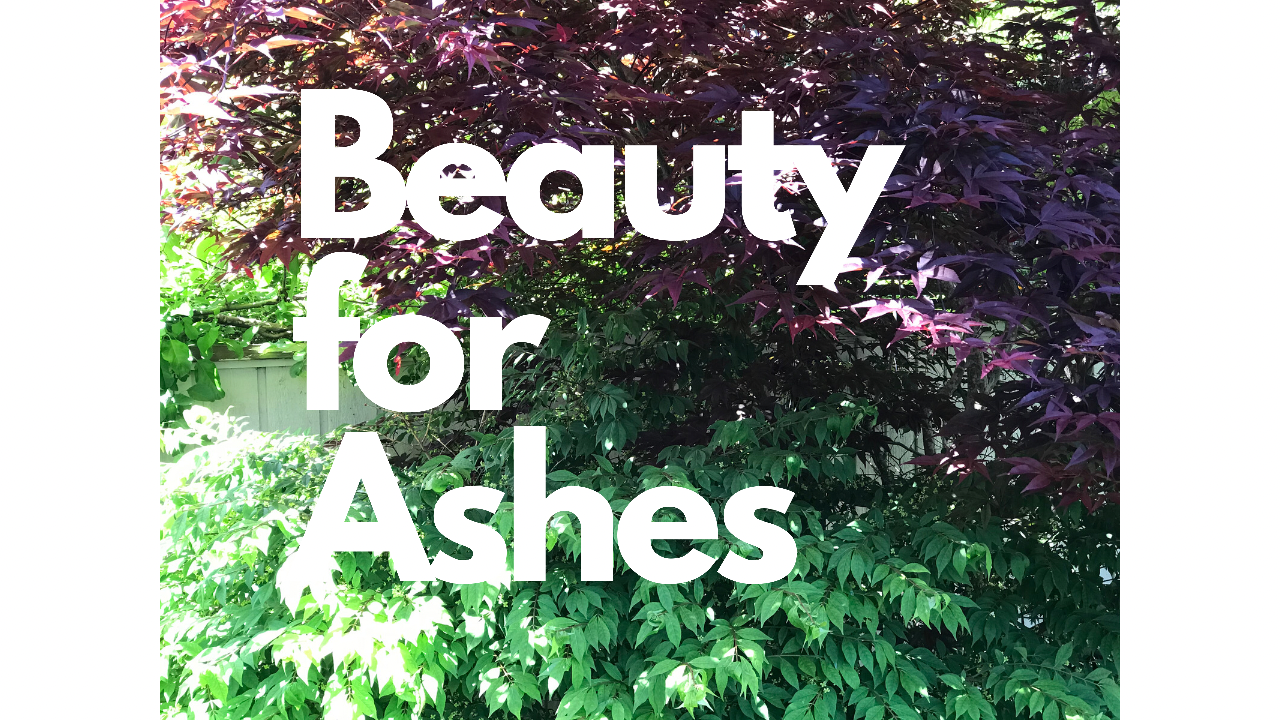 Beauty for Ashes (Heidi from the Heart, Episode #25)