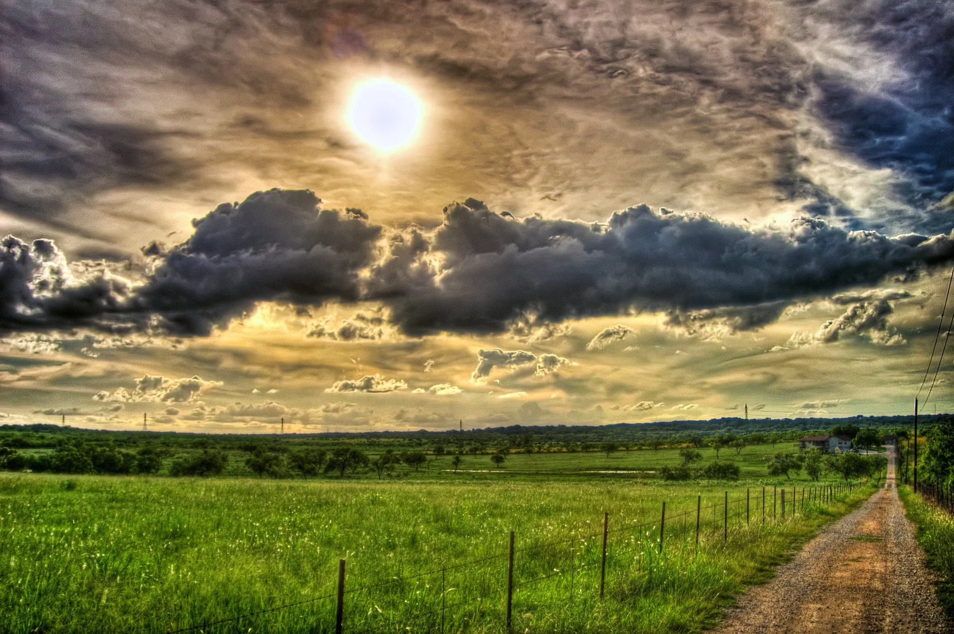Ladshaw Farm - Texas