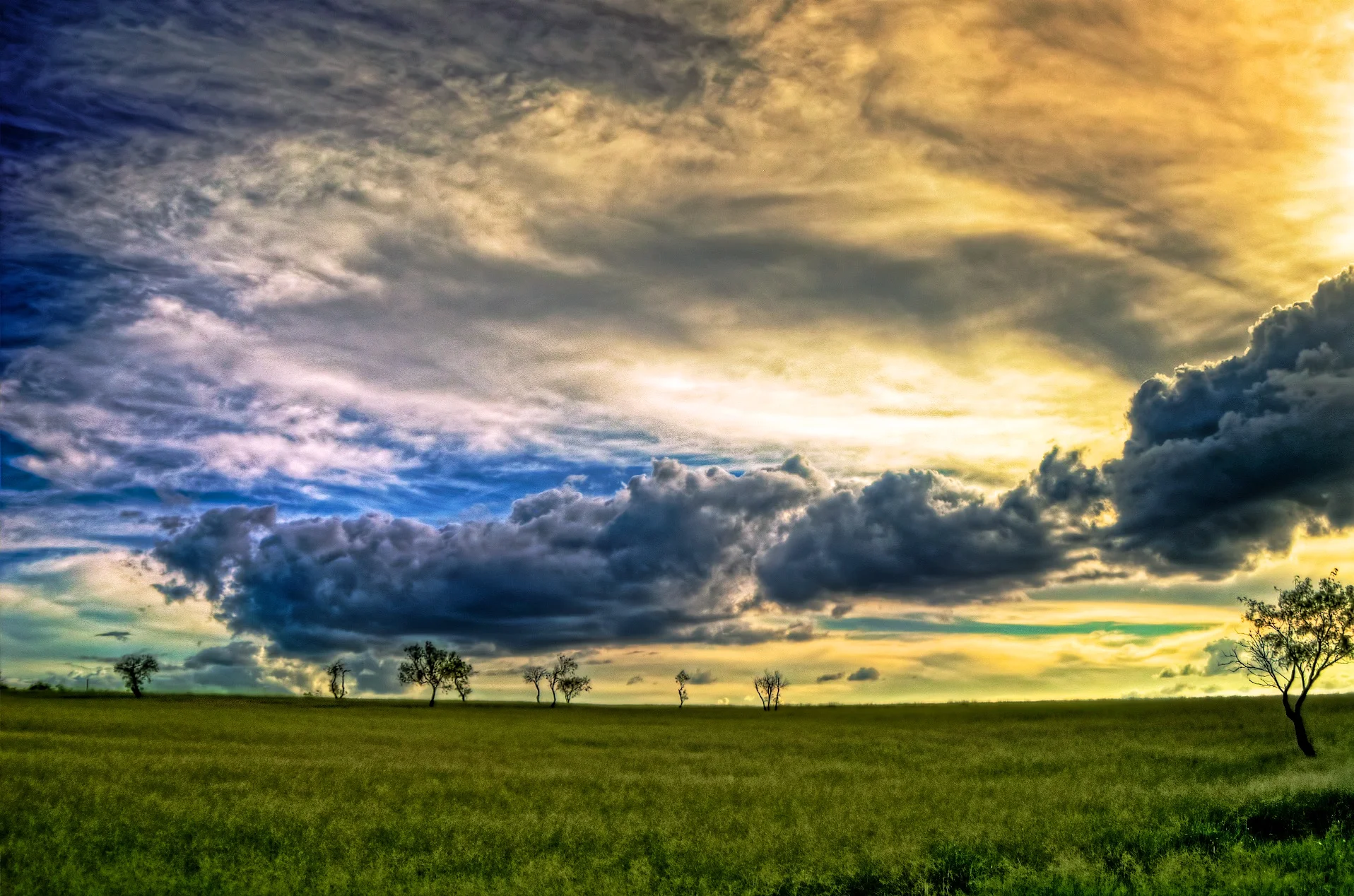 Ladshaw Farm - Texas