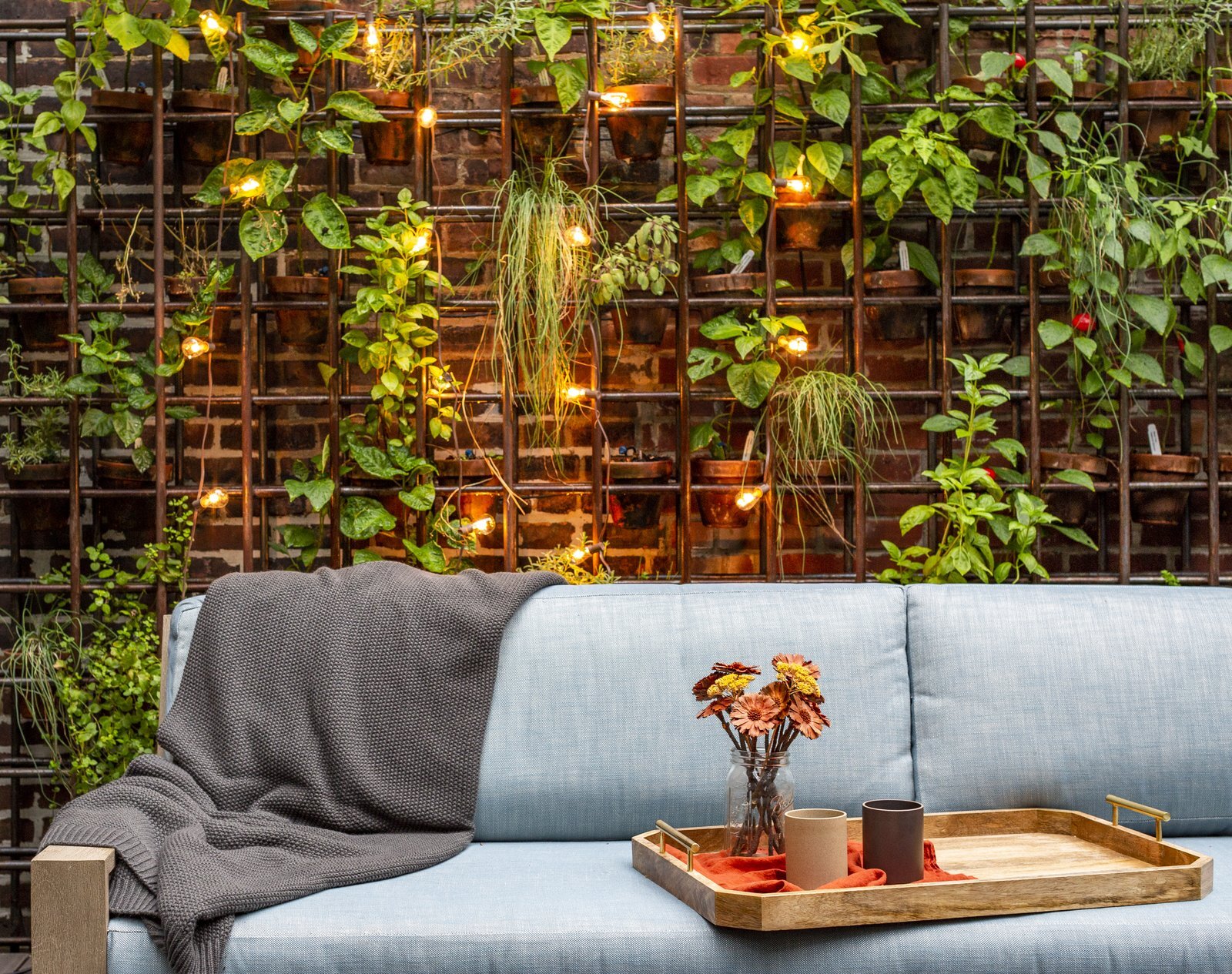 vertical-garden-wall-and-lounge-area.jpeg